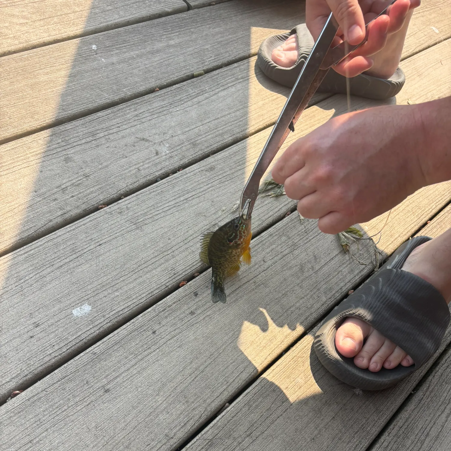 catch