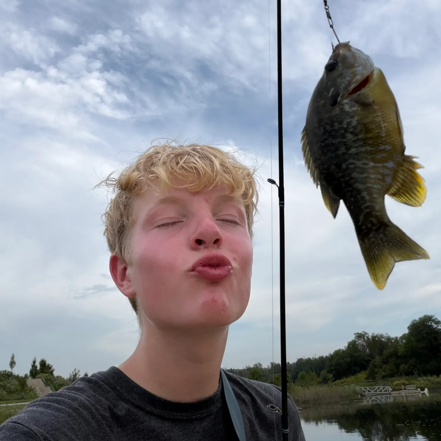Greengill hybrid caught on Fishbrain