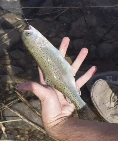 Post image from codyhough