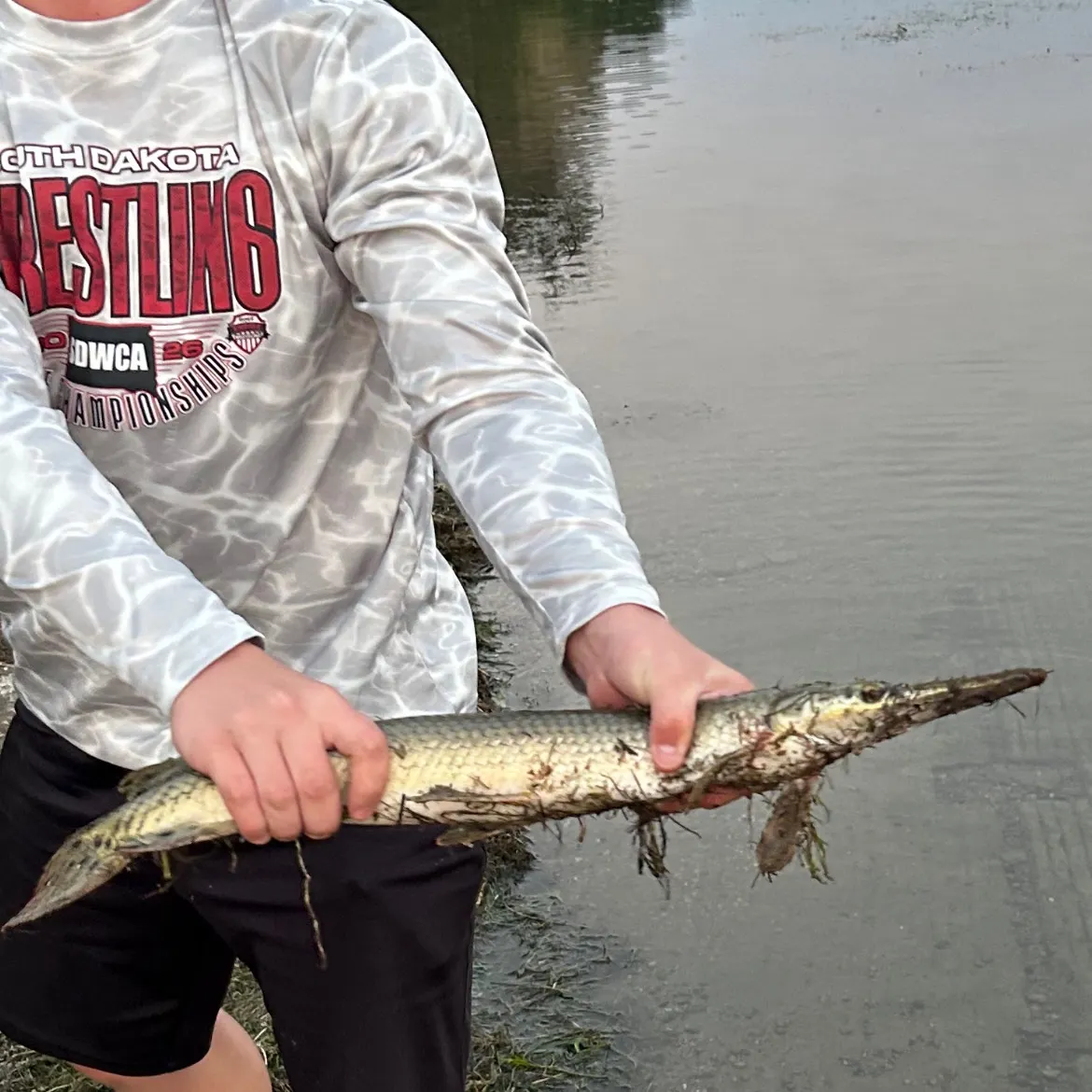 The most recent Shortnose gar catches on Fishbrain
