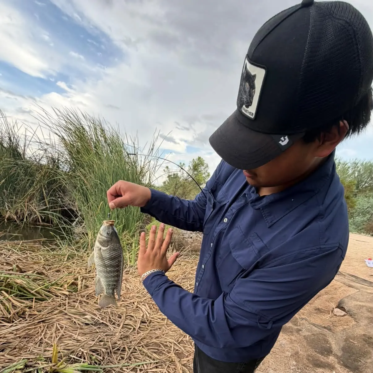 catch