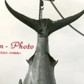 Atlantic blue marlin caught on Fishbrain