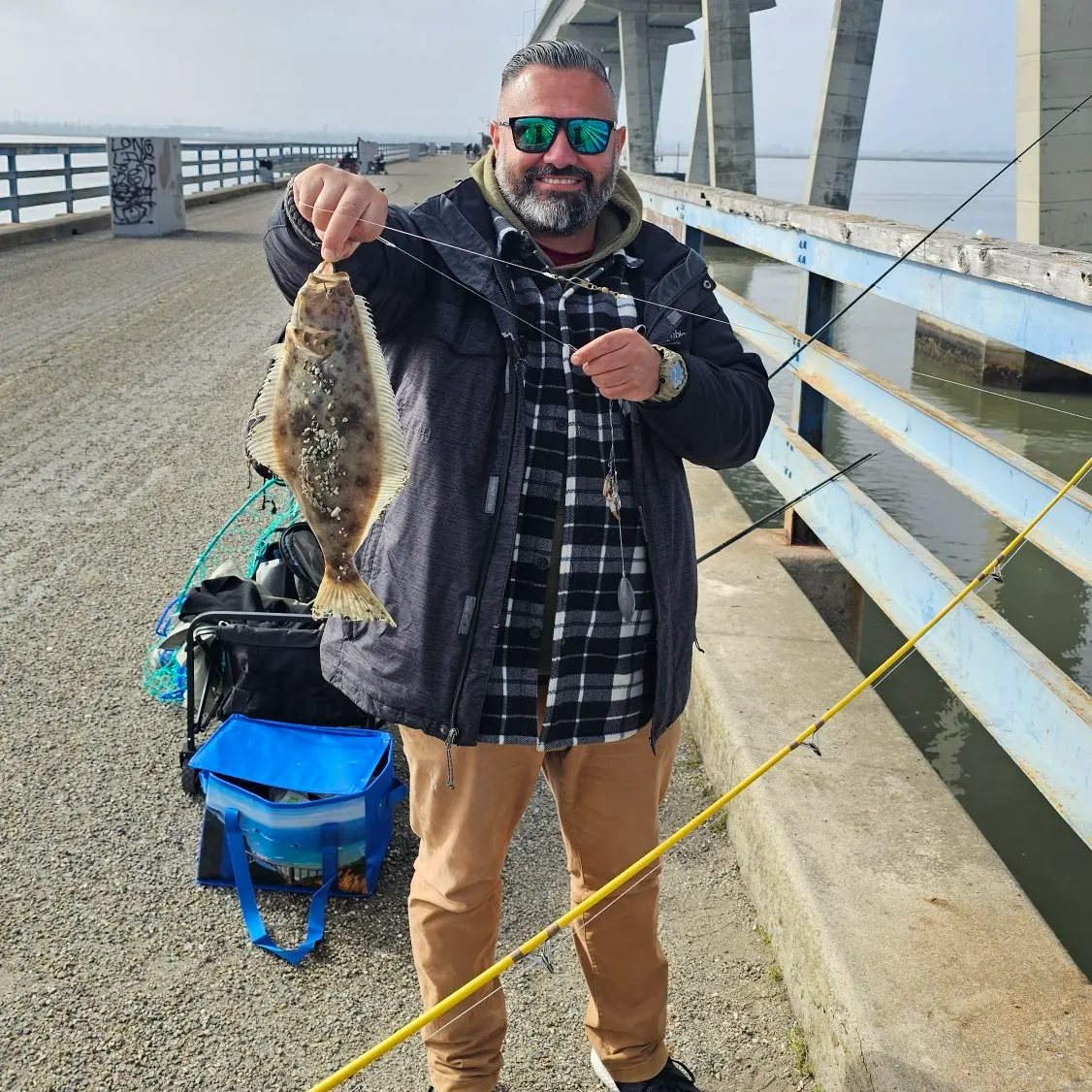 The most recent California halibut catches on Fishbrain