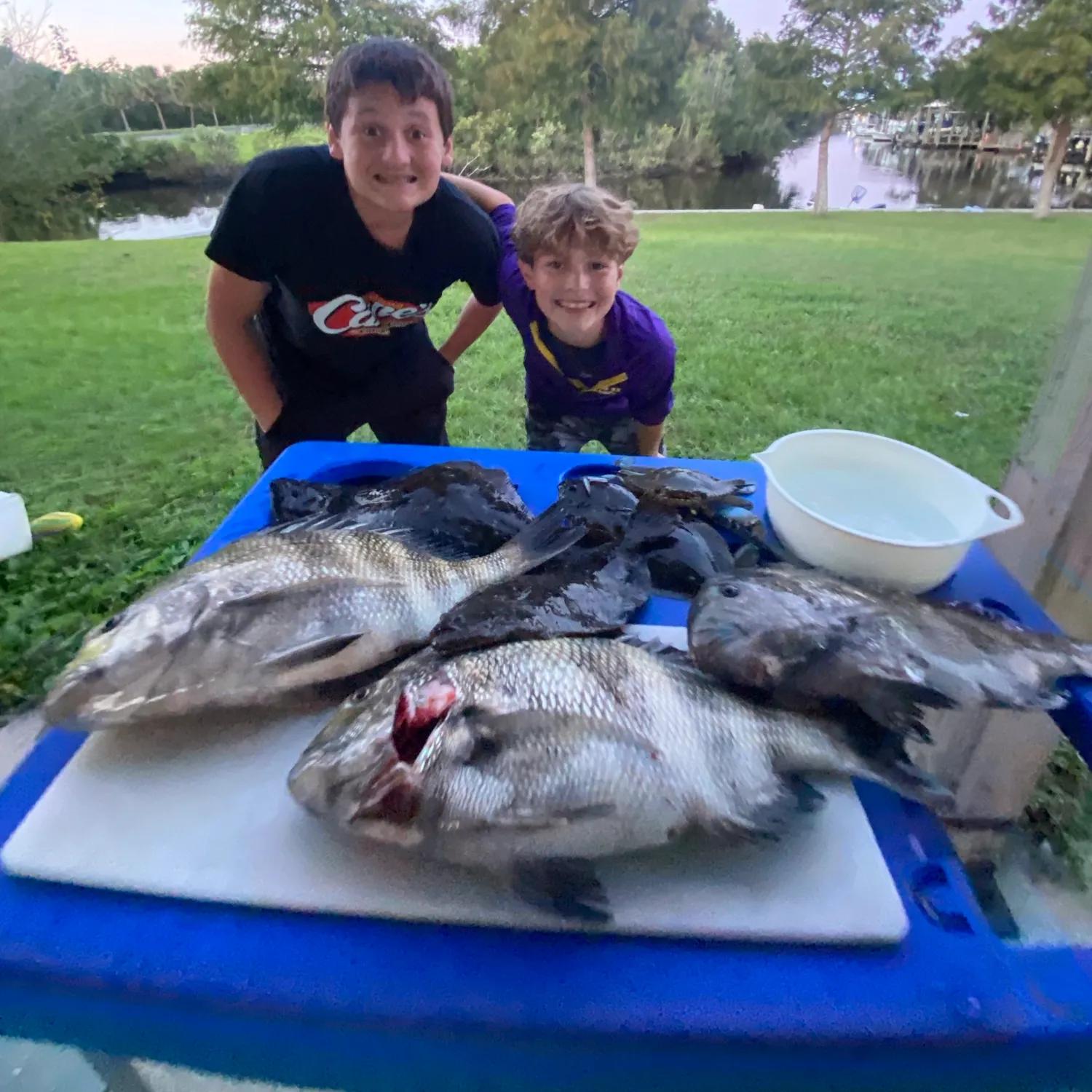 Sheepshead caught on Fishbrain