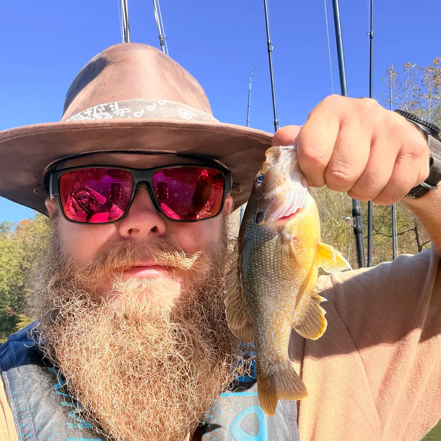 Green sunfish caught on Fishbrain