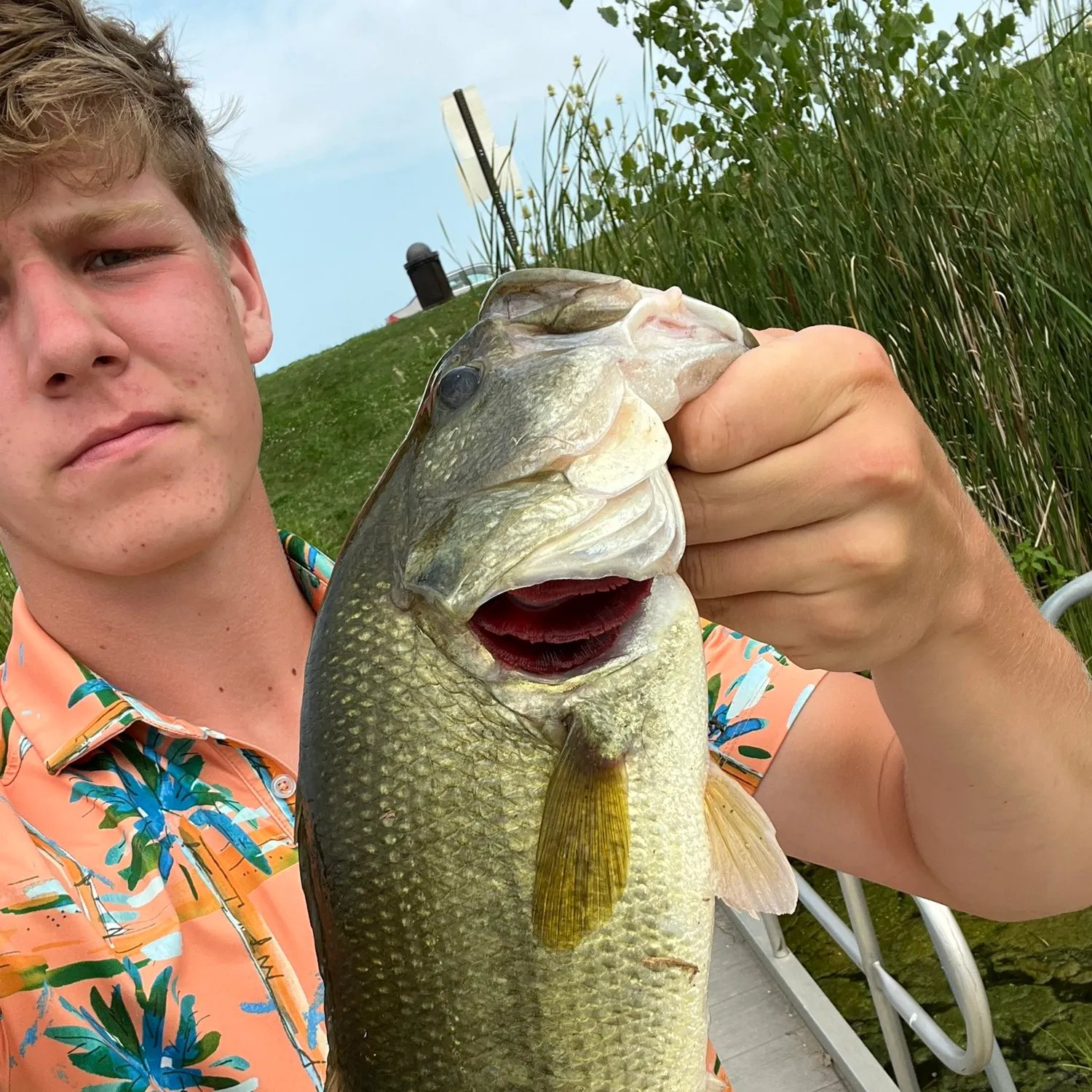 catch