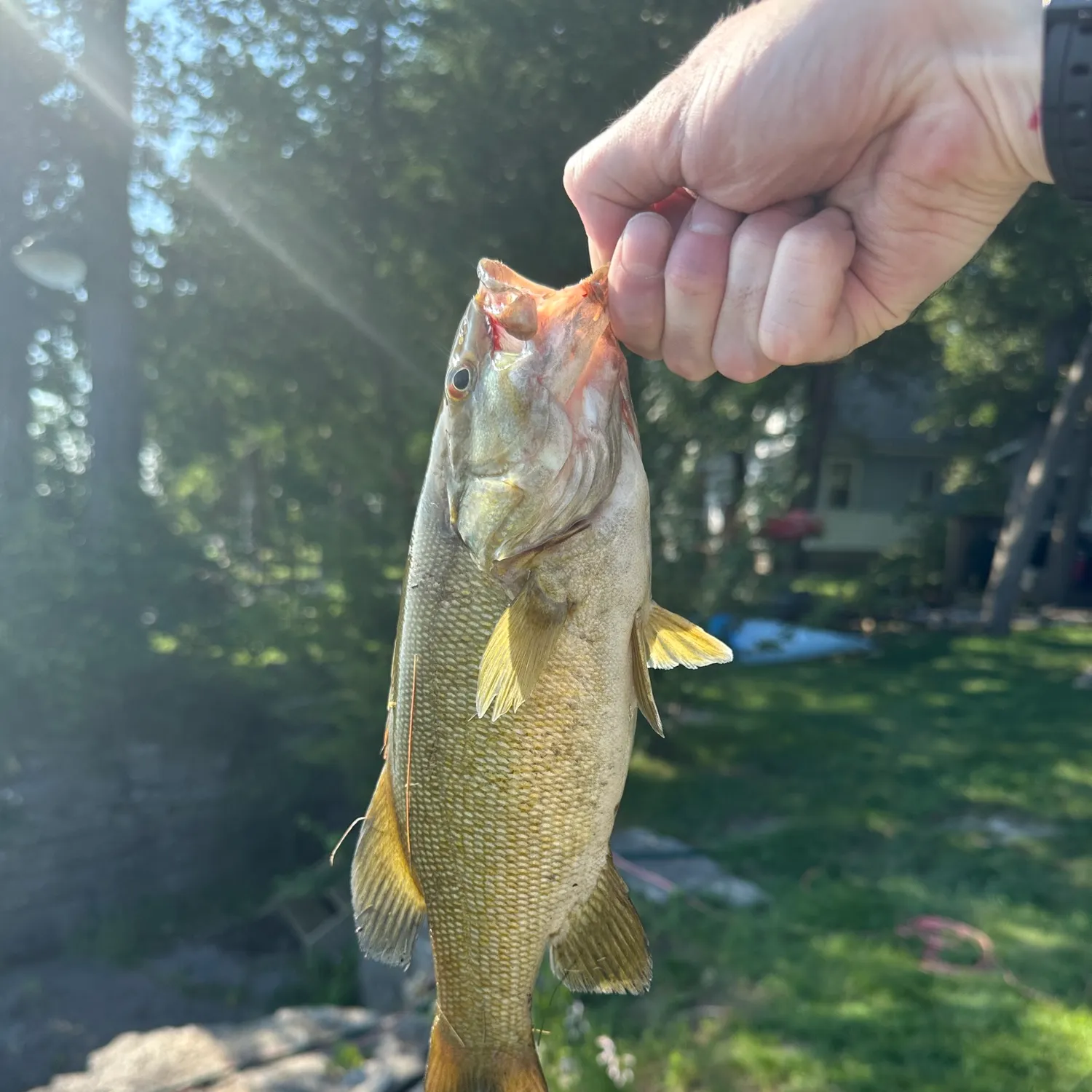 catch