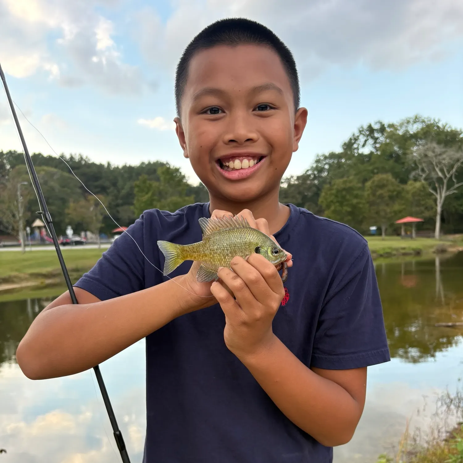 Bluegill caught on Fishbrain