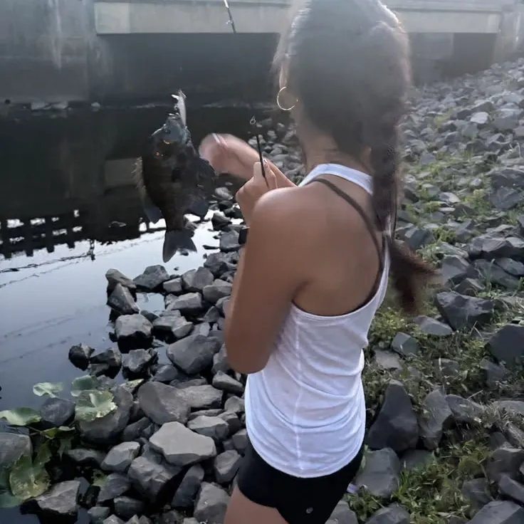 Bluegill caught on Fishbrain