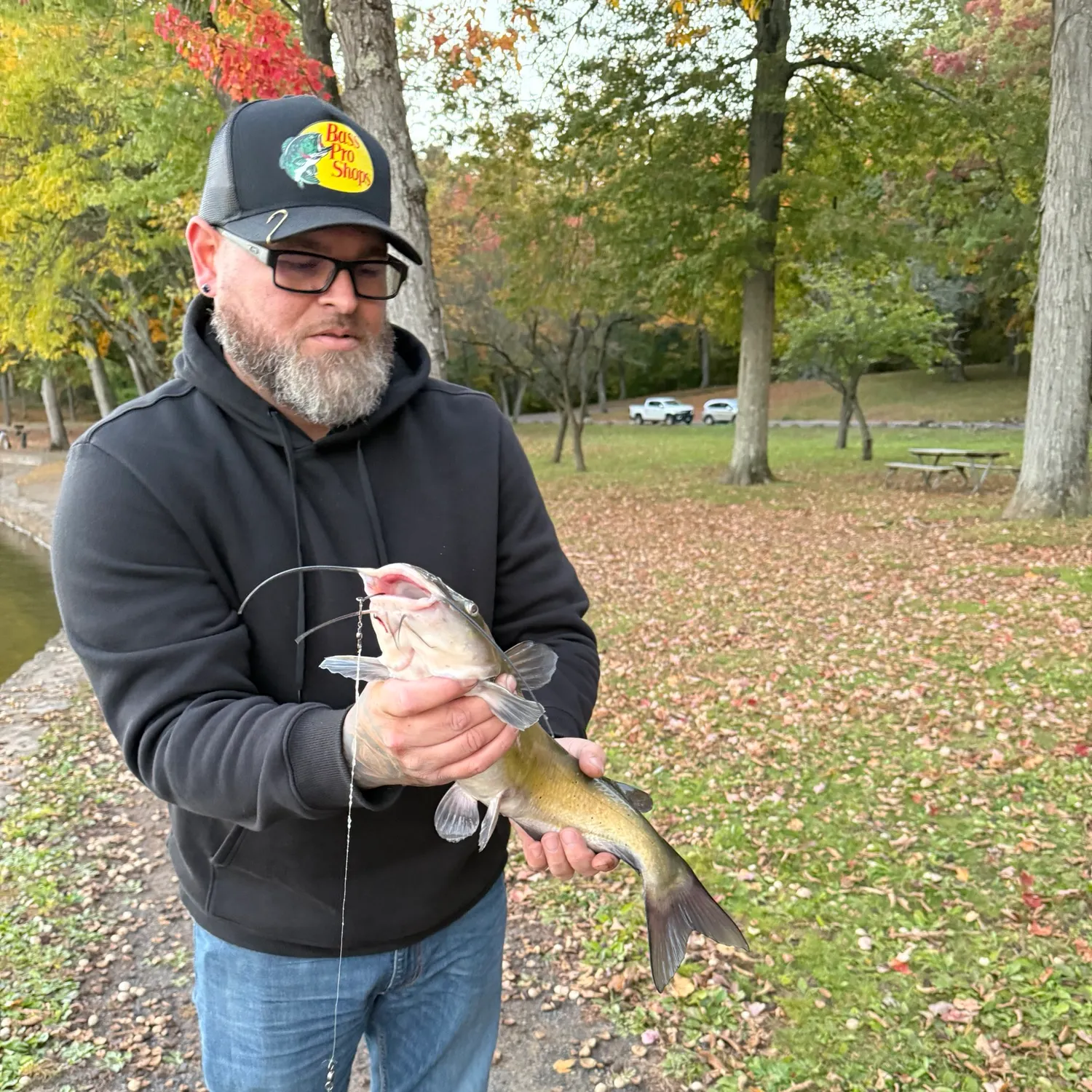 Channel catfish caught on Fishbrain