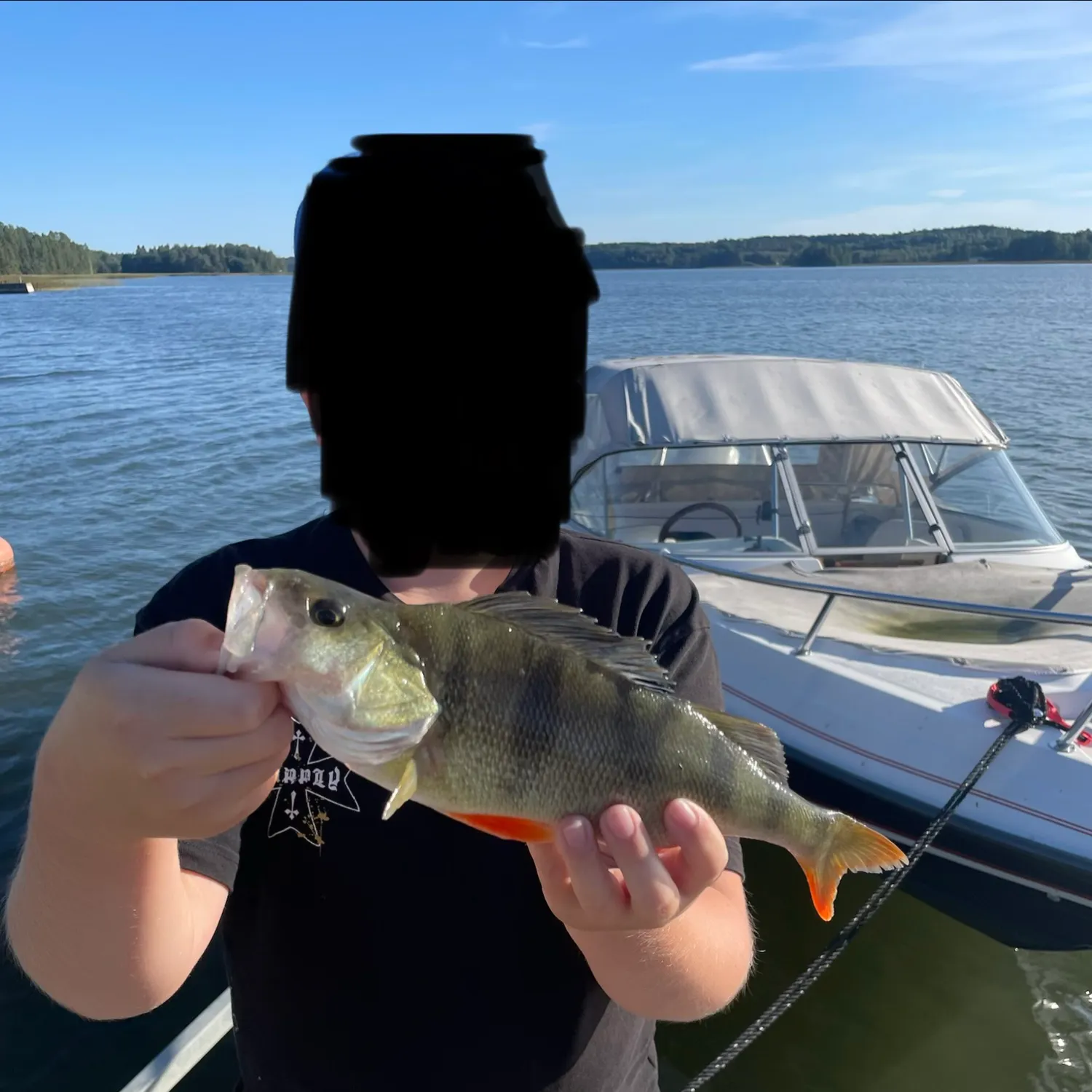 European perch caught on Fishbrain