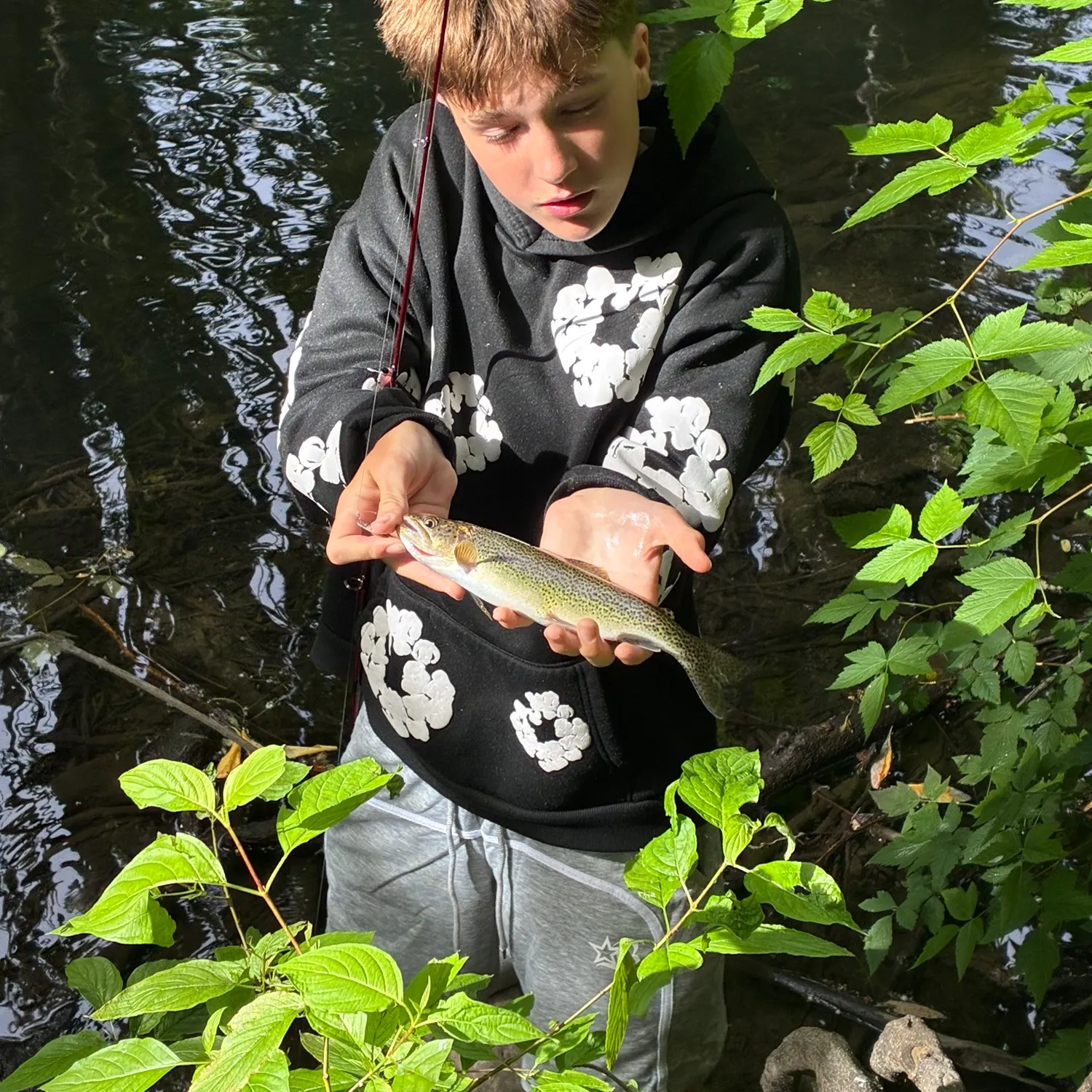 The most recent Coastal cutthroat trout catches on Fishbrain