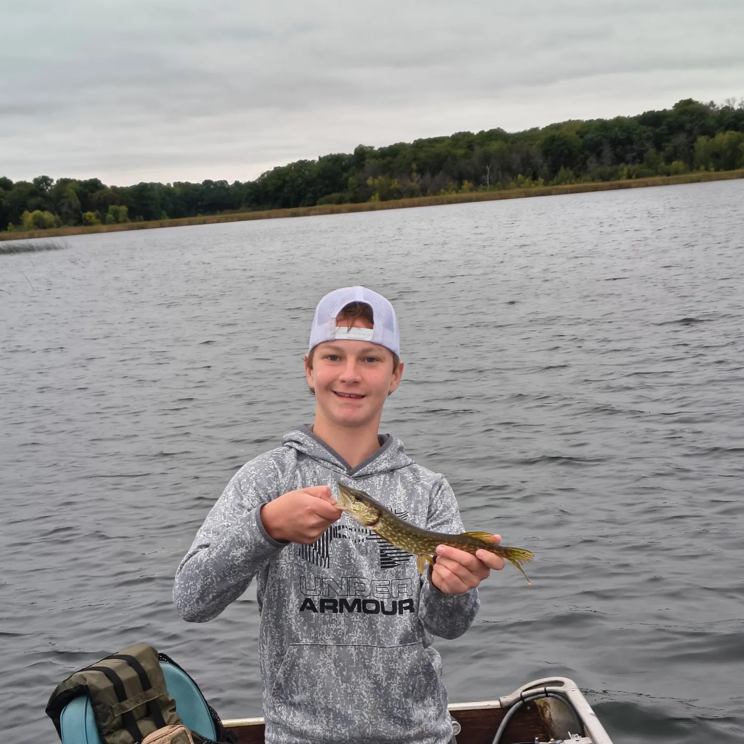 The most recent Grass pickerel catches on Fishbrain