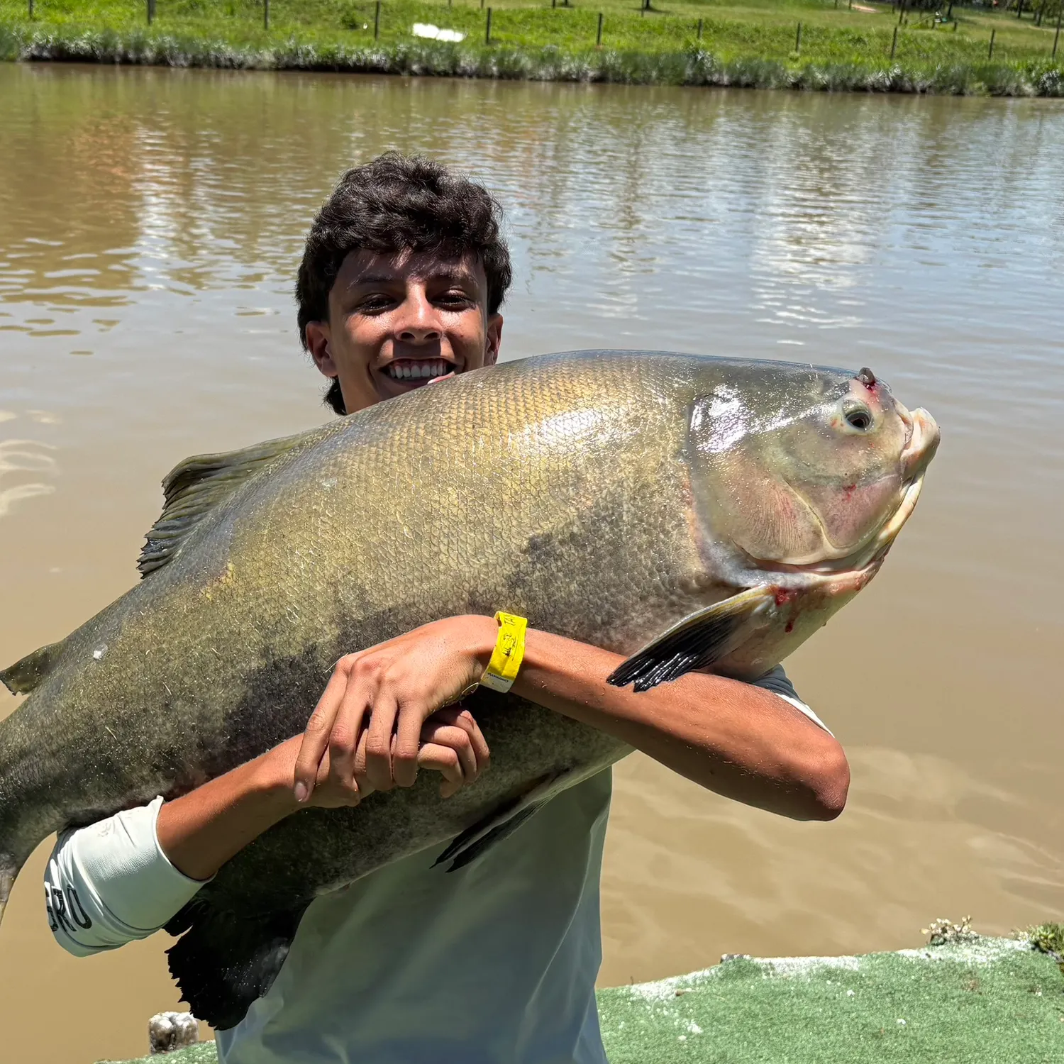 The most recent Black pacu catches on Fishbrain