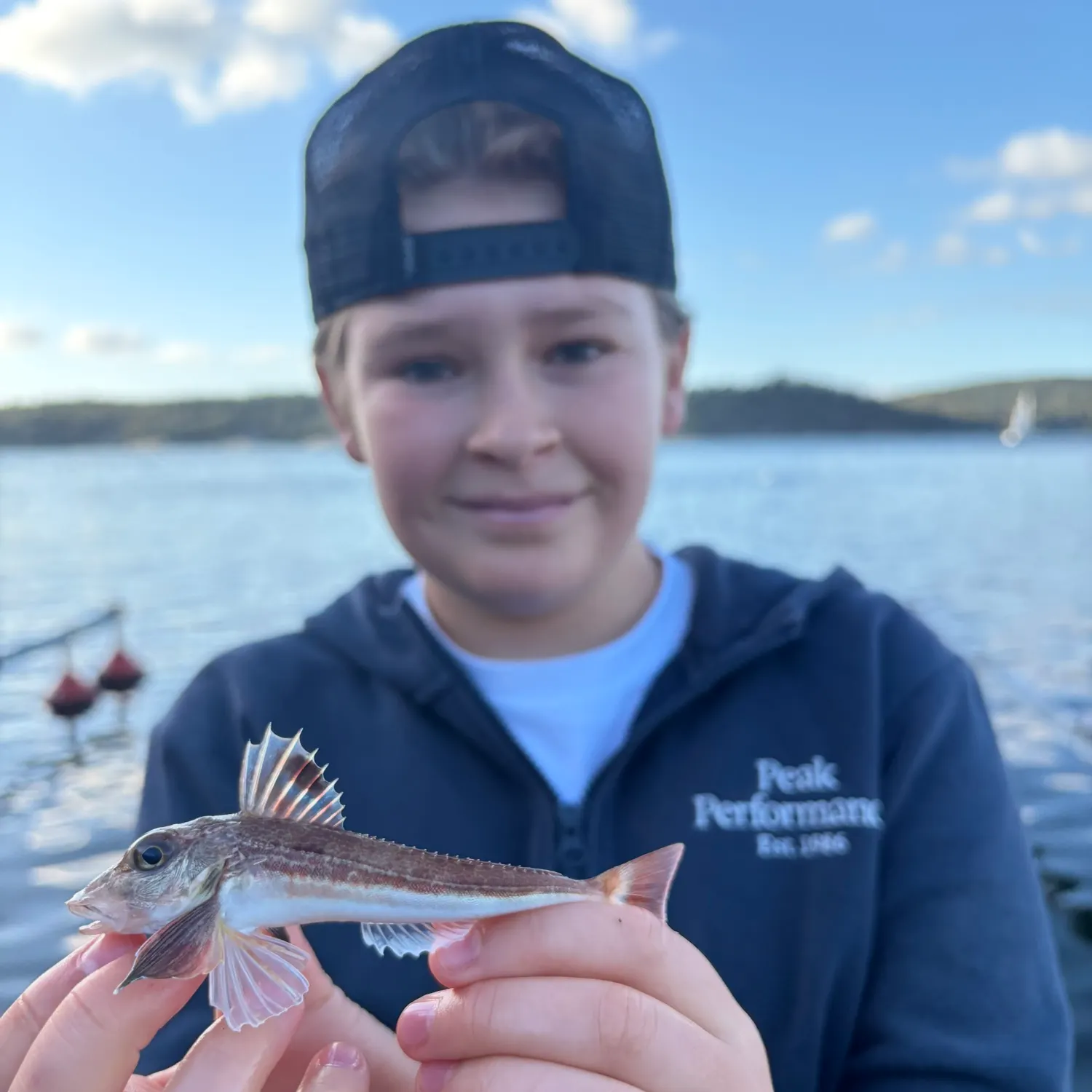 The most recent Grey gurnard catches on Fishbrain