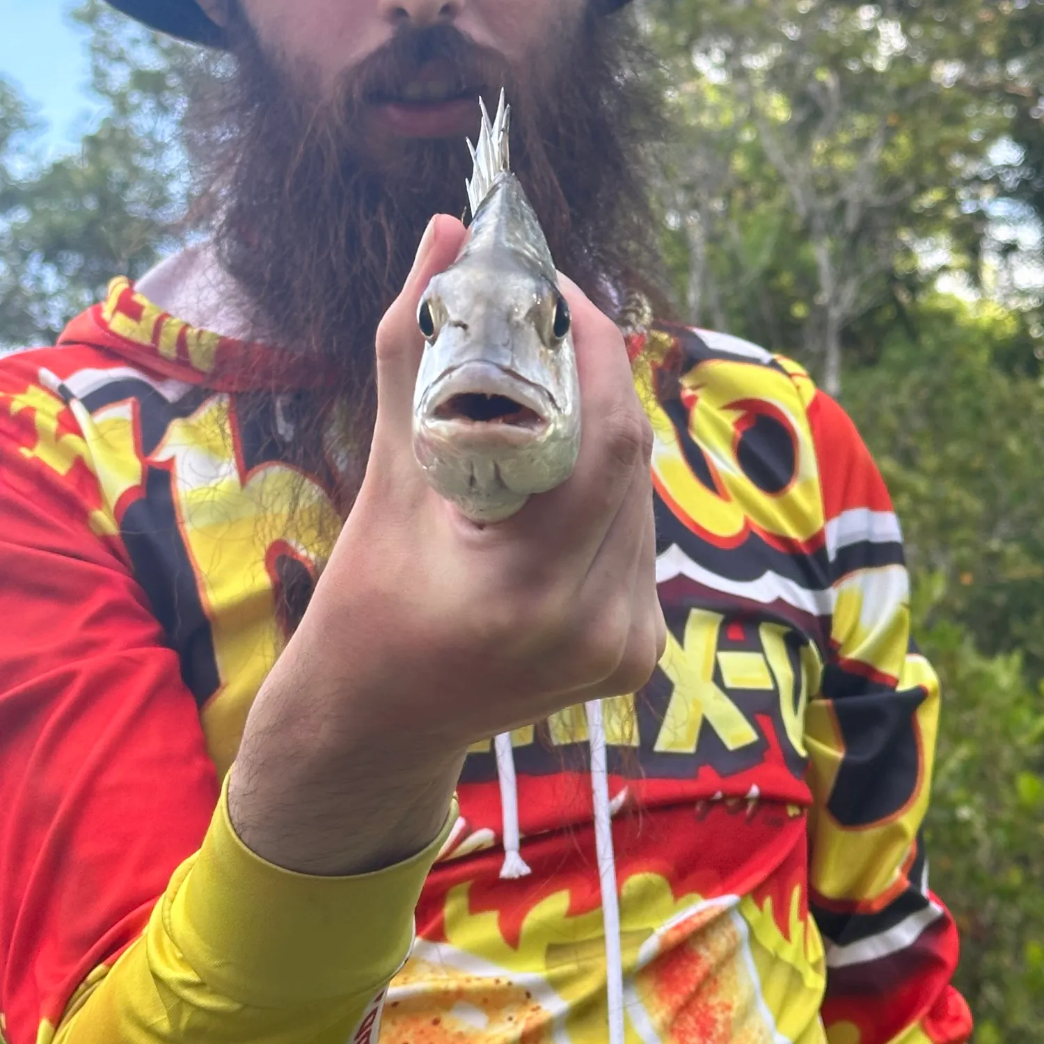 Surf bream caught on Fishbrain