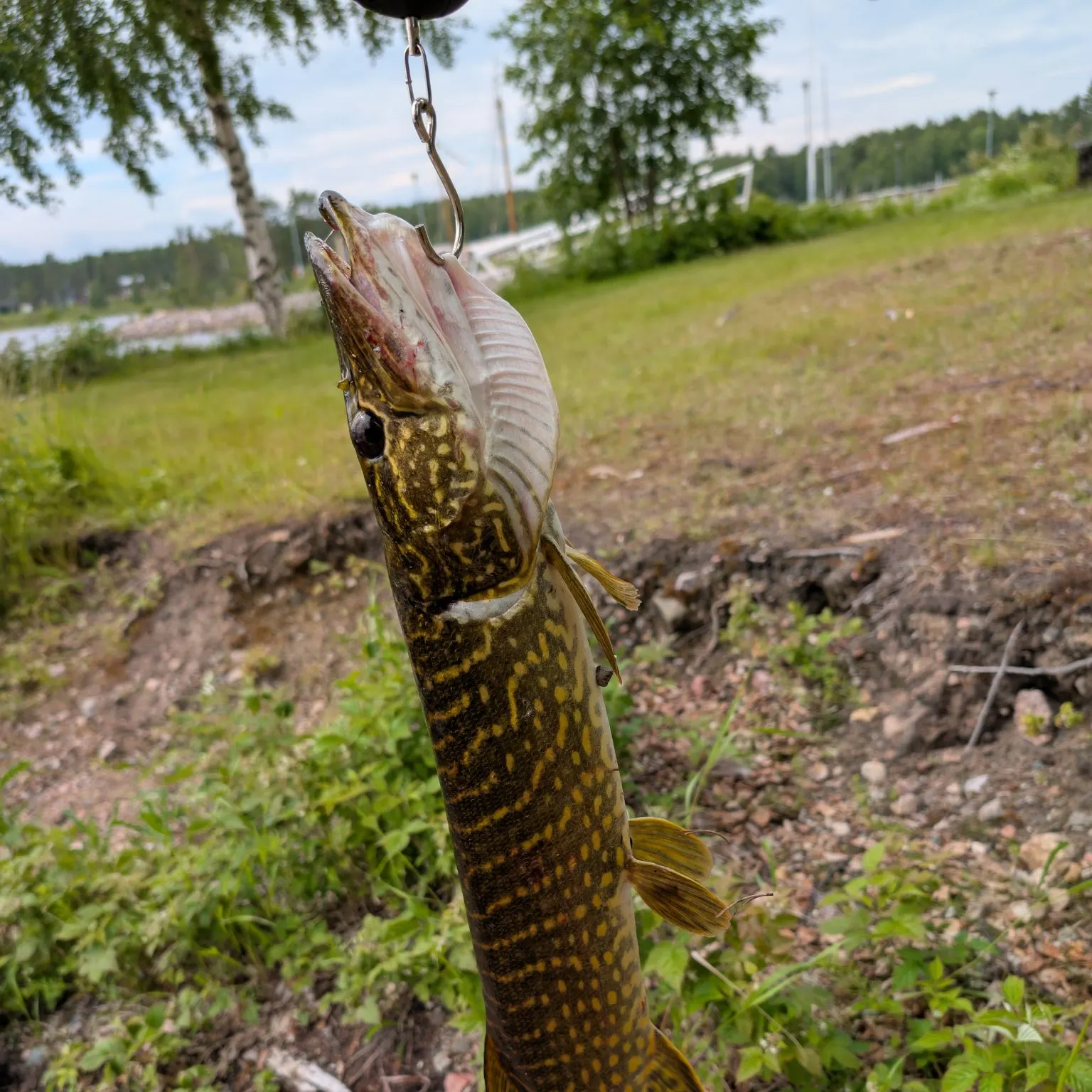 catch