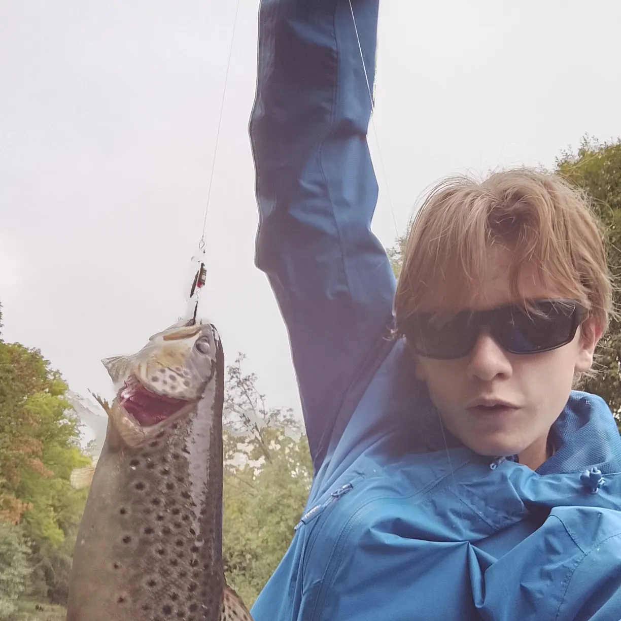 Brown trout caught on Fishbrain
