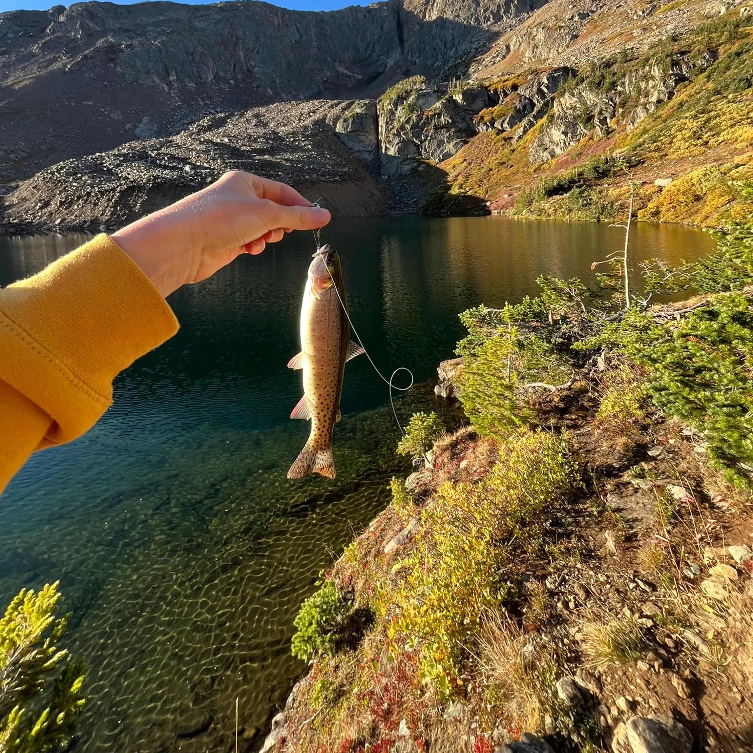 catch