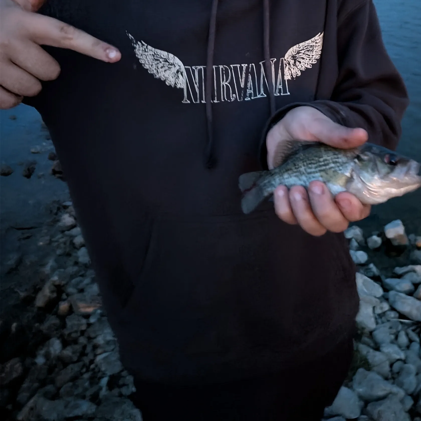 Smallmouth bass caught on Fishbrain