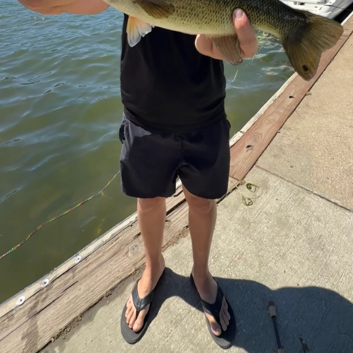 Largemouth bass caught on Fishbrain