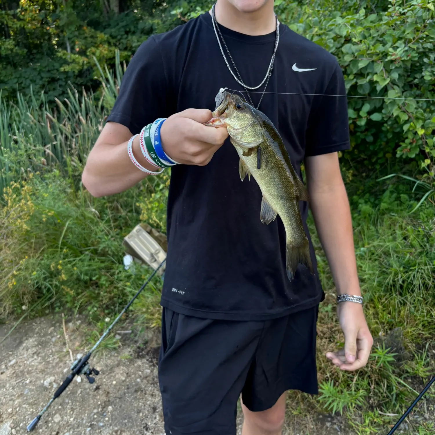 Smallmouth bass caught on Fishbrain