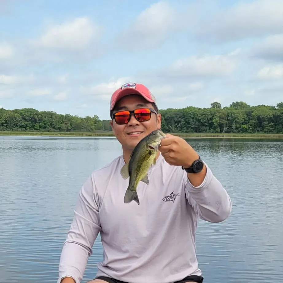 Largemouth bass caught on Fishbrain