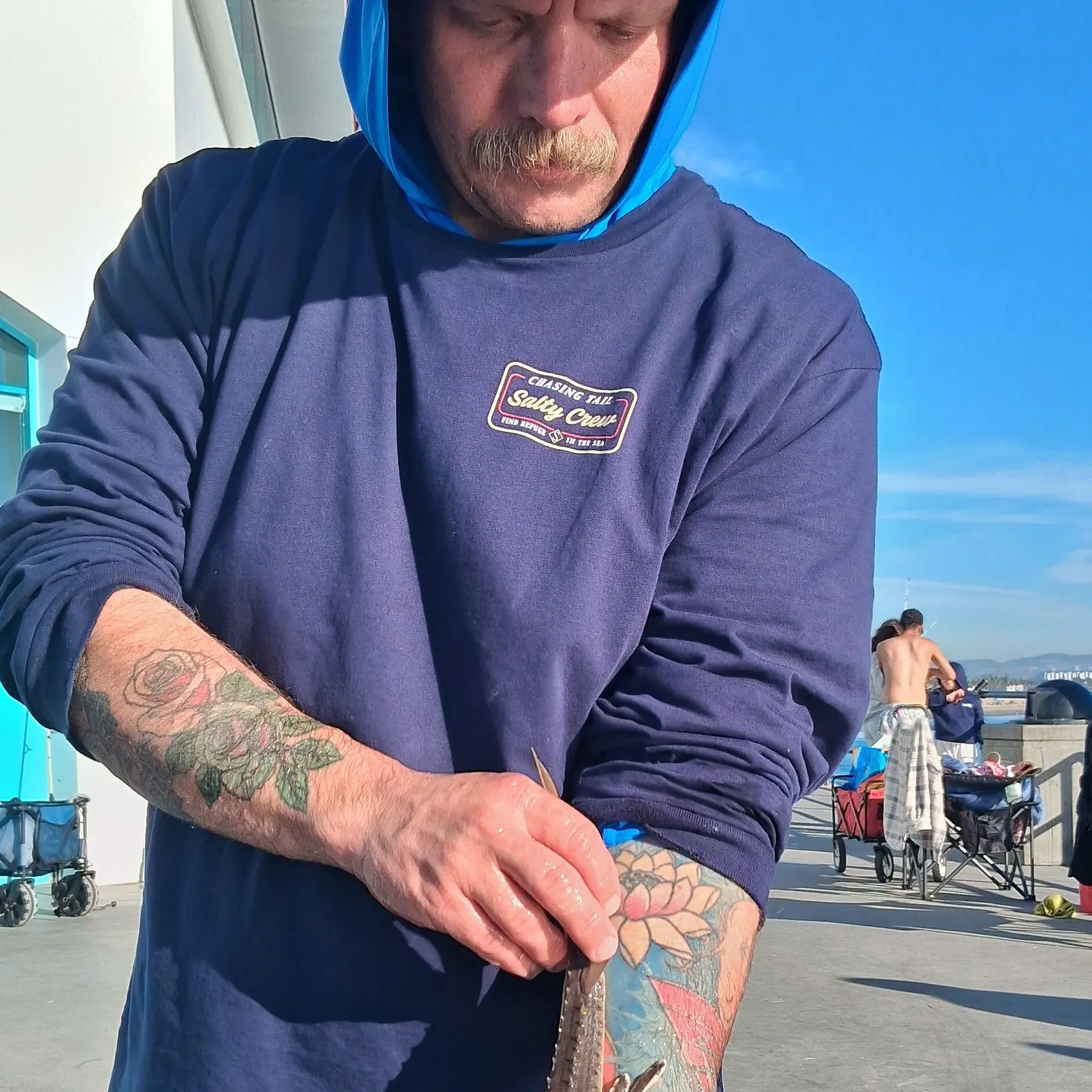 The most recent Thornback guitarfish catches on Fishbrain