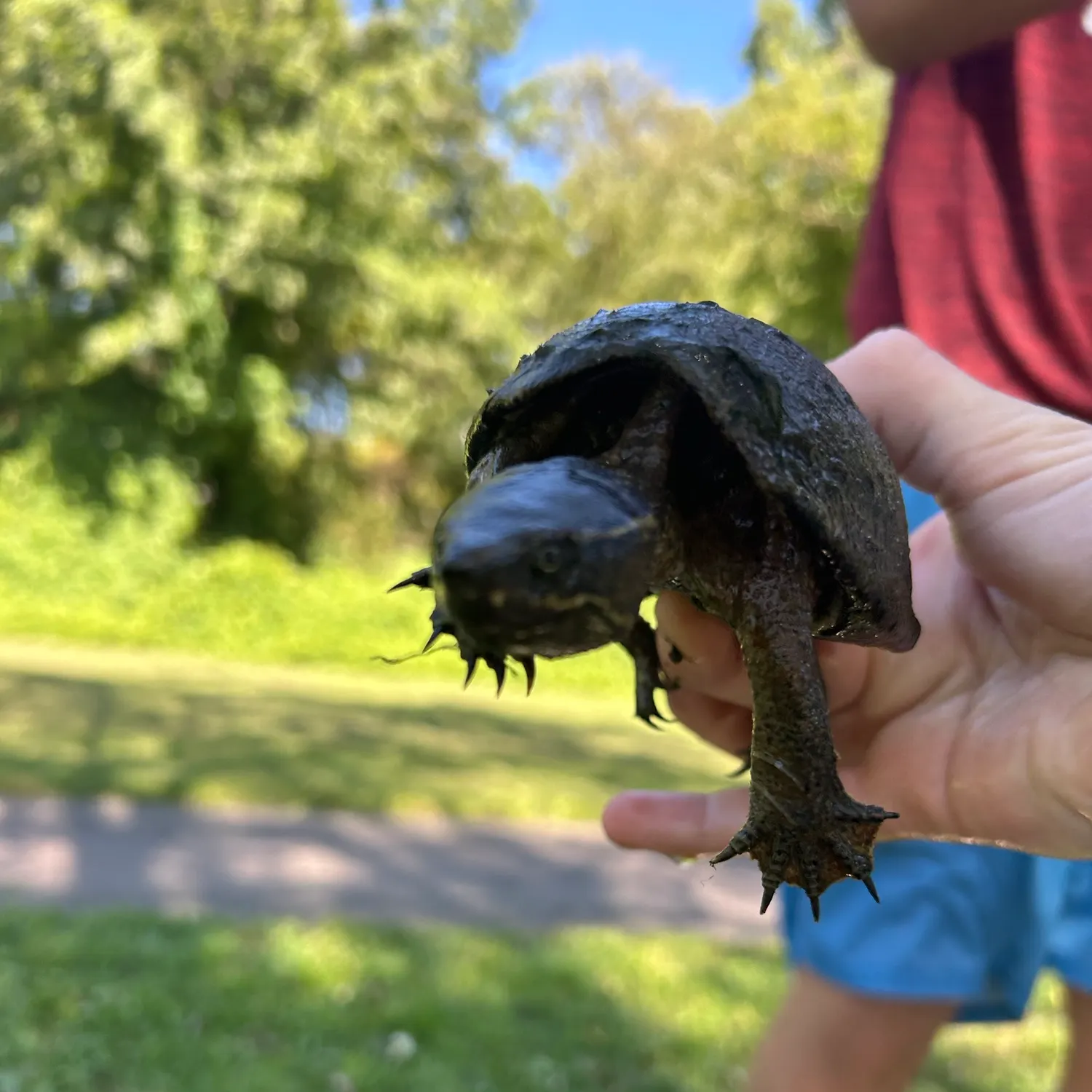 Fish caught on Fishbrain