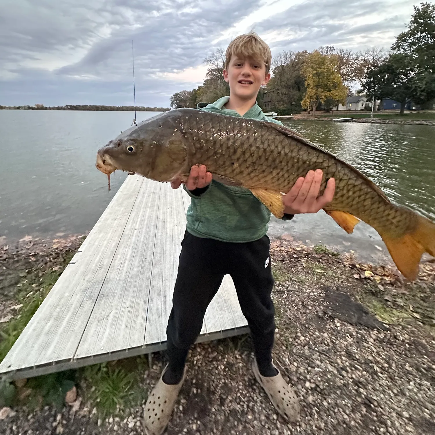 Common carp caught on Fishbrain