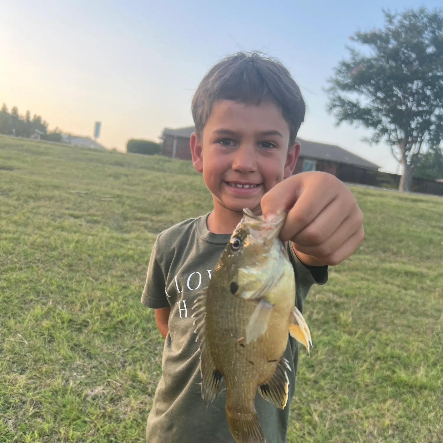 Green sunfish caught on Fishbrain