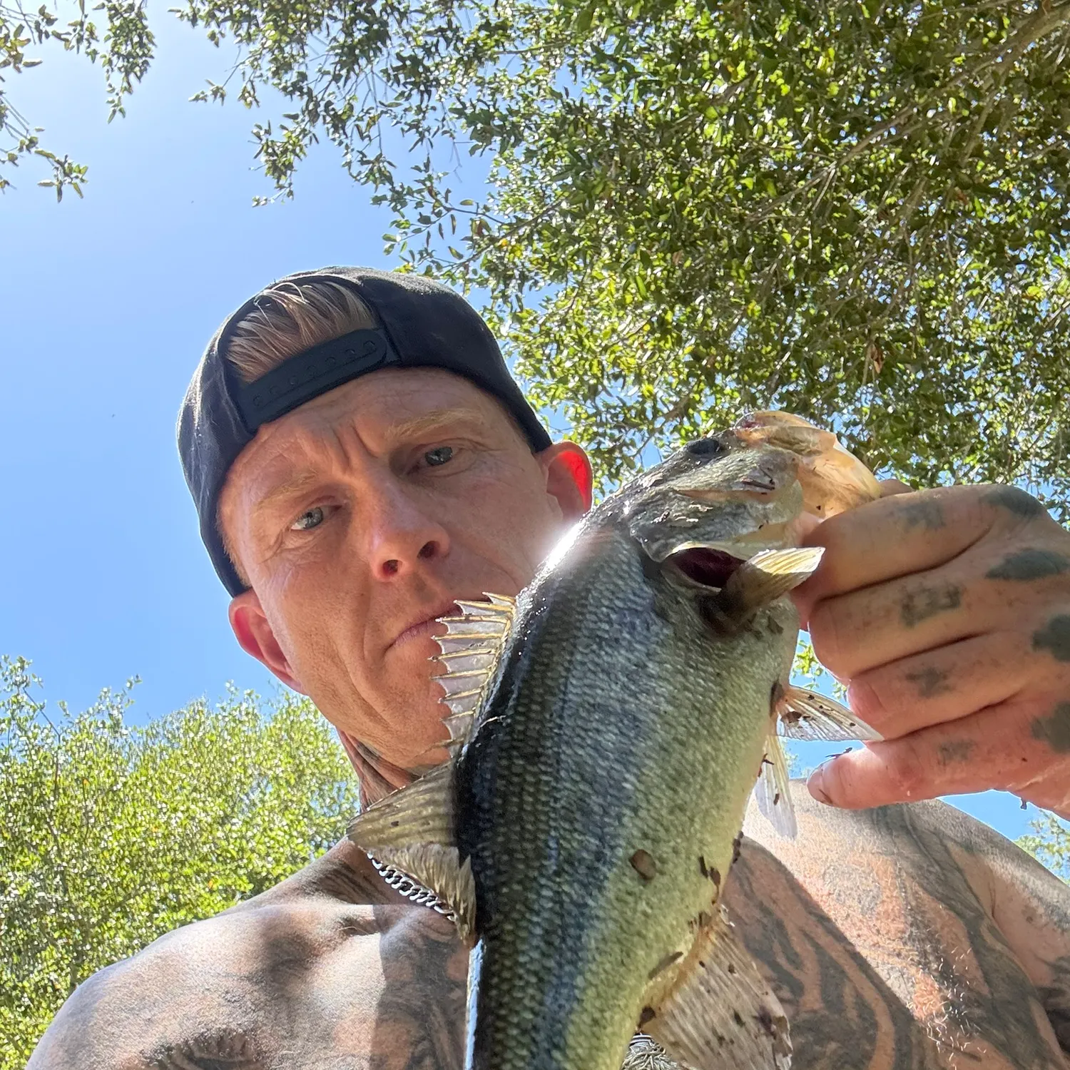 catch