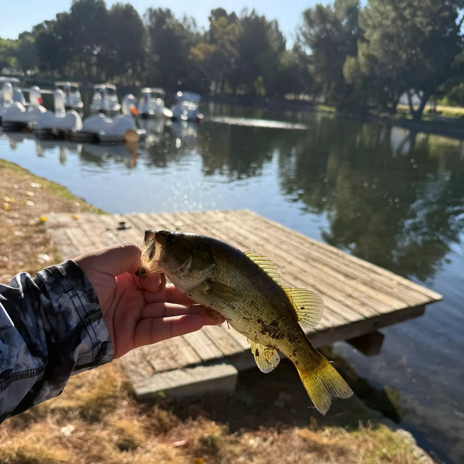 catch