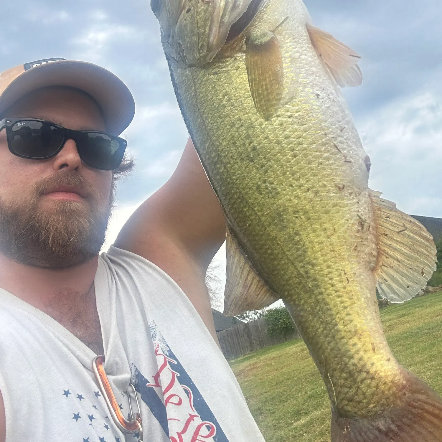 Largemouth bass caught on Fishbrain