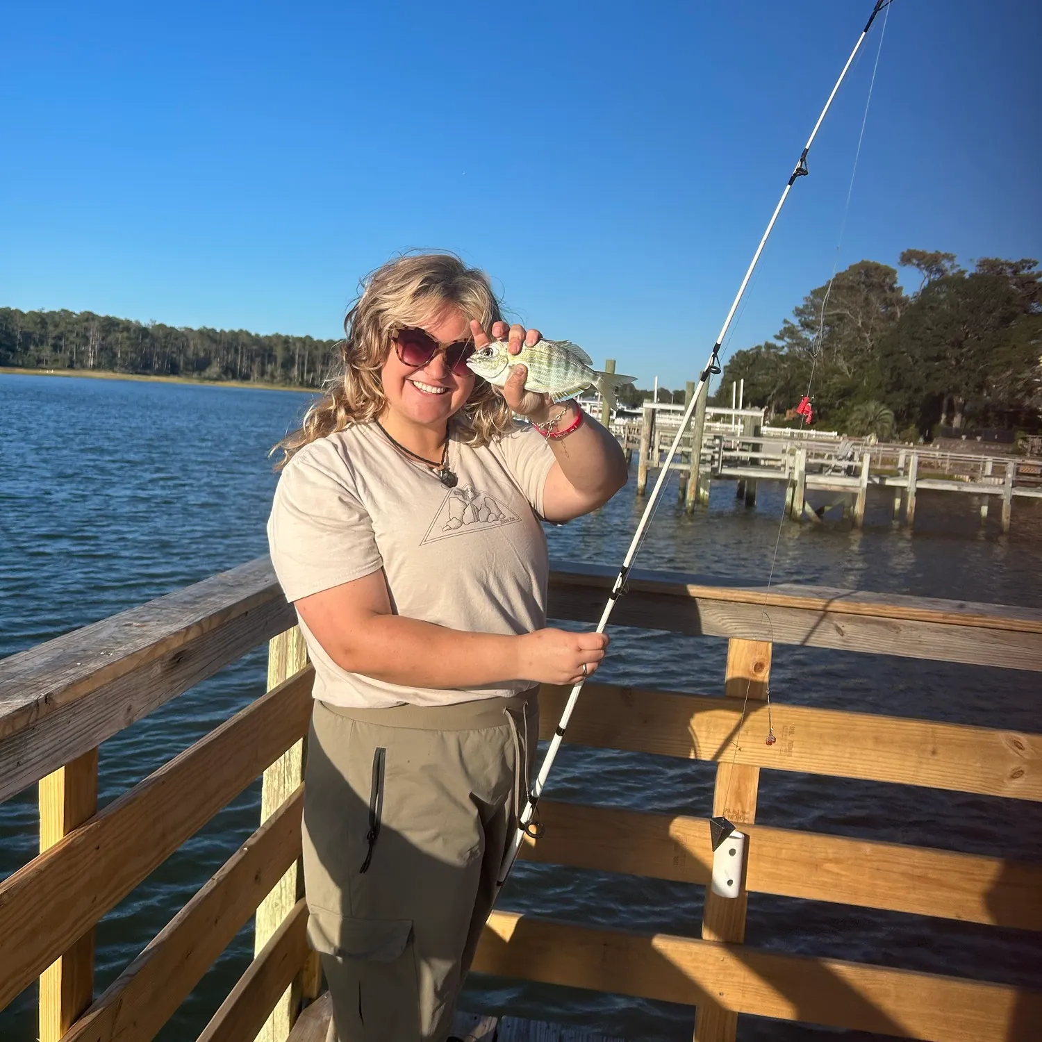 Pinfish caught on Fishbrain