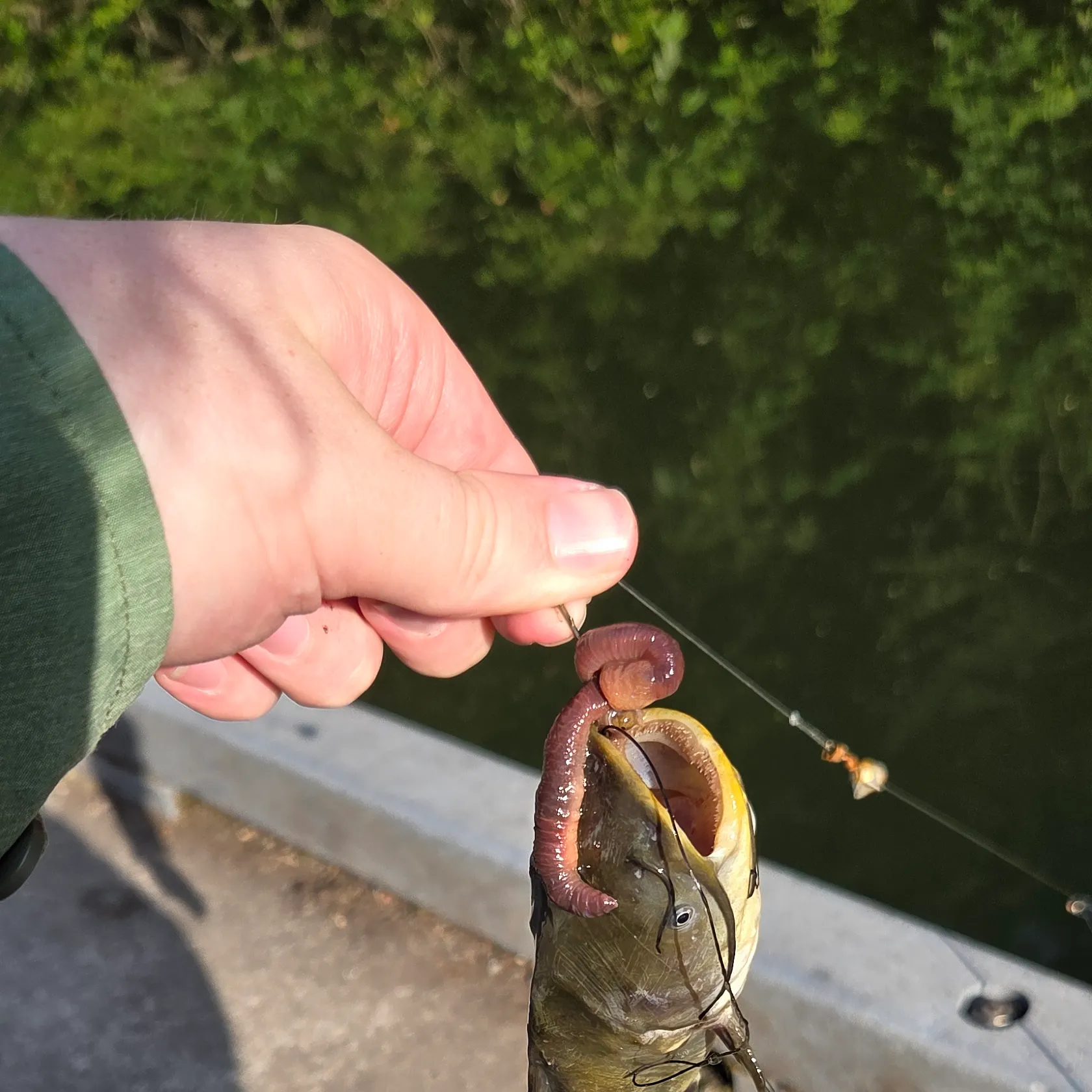 catch