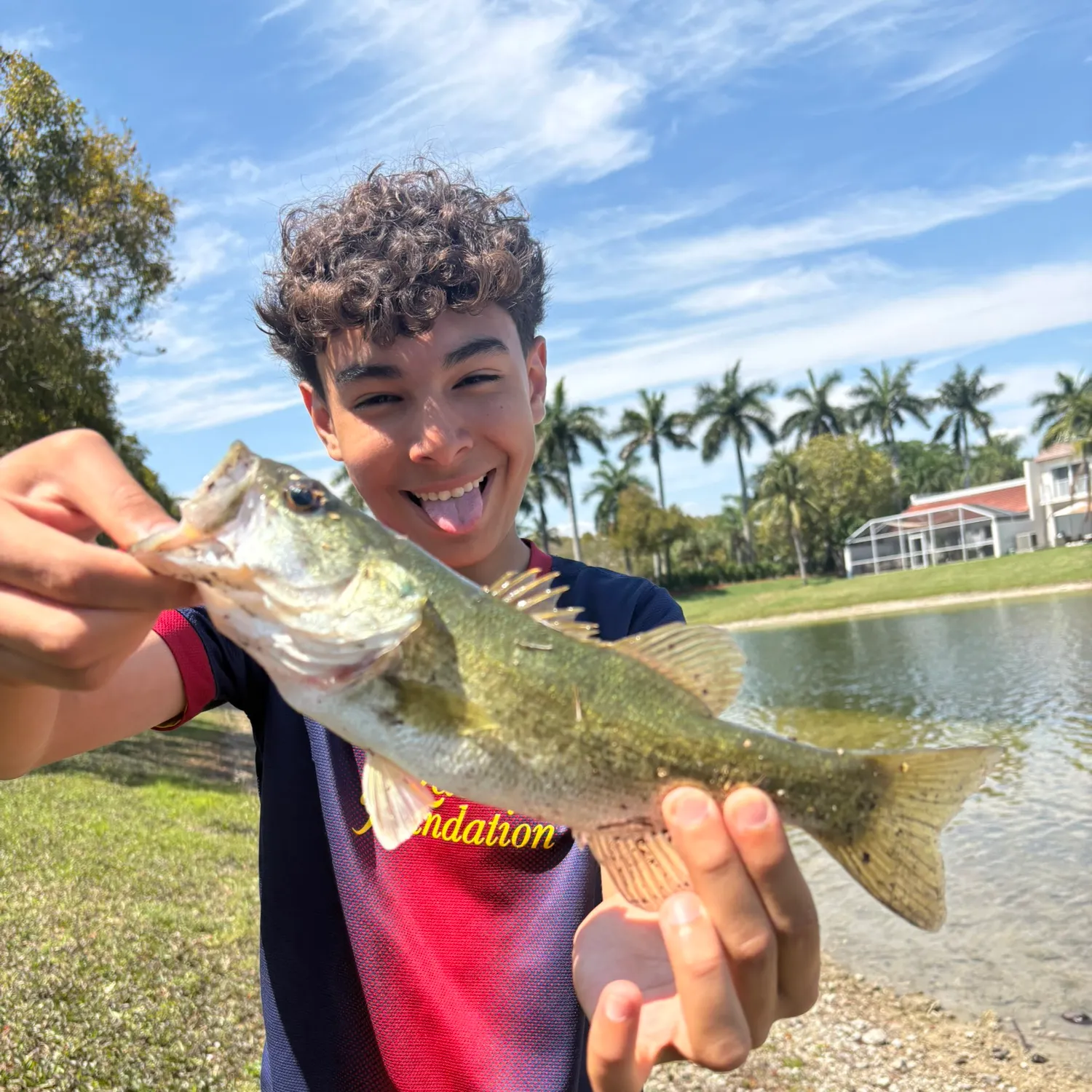 Largemouth bass caught on Fishbrain