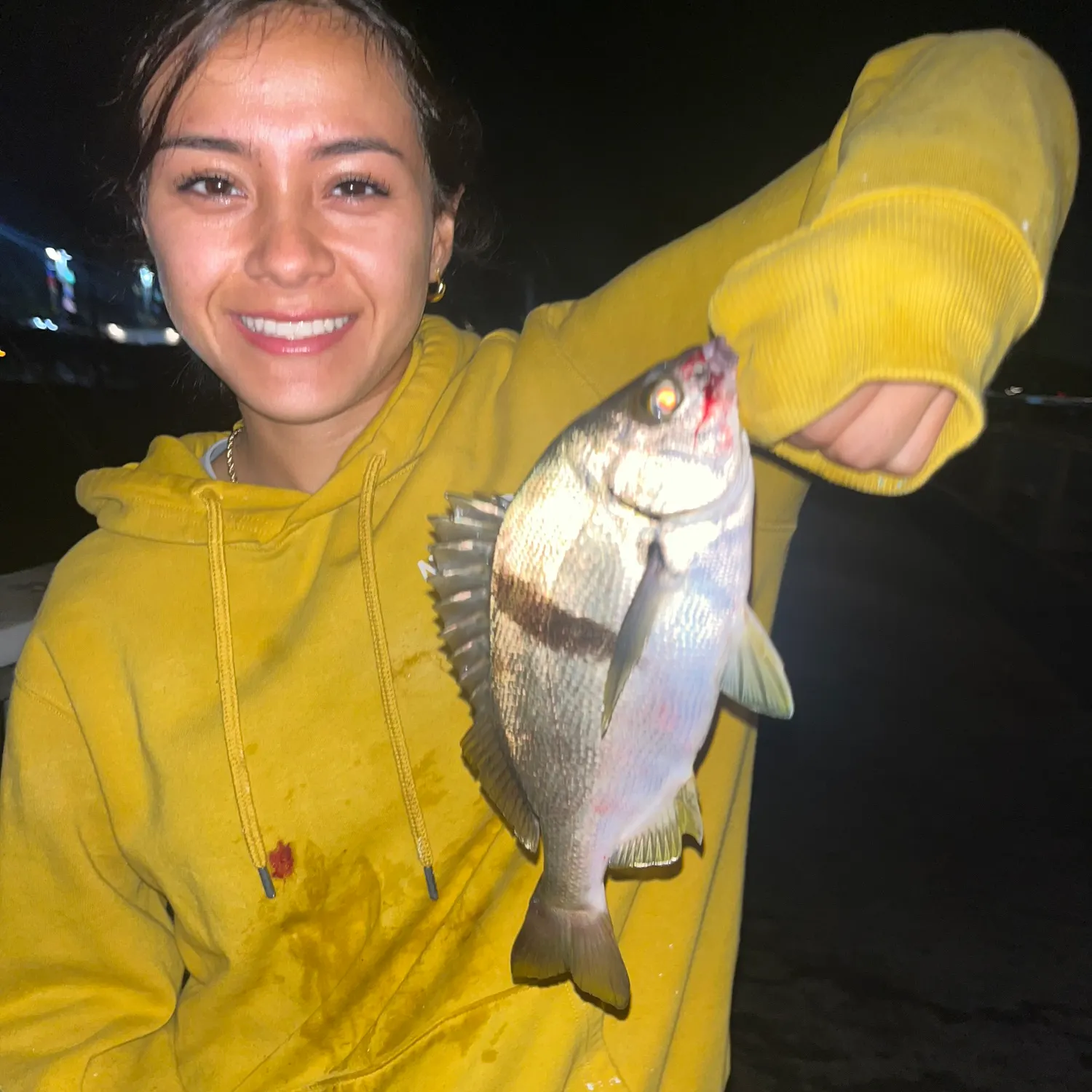The most recent Sargo catches on Fishbrain