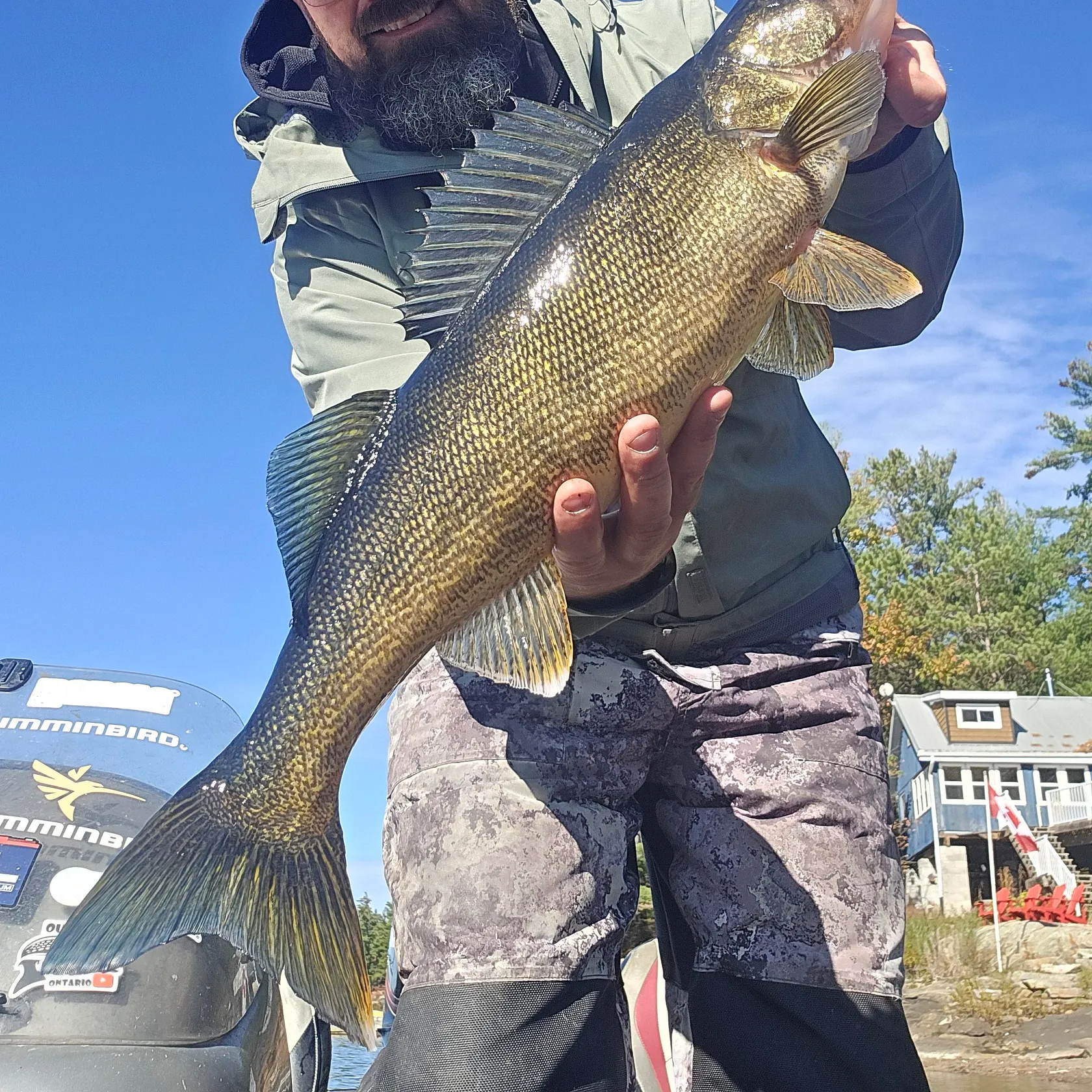 Walleye caught on Fishbrain