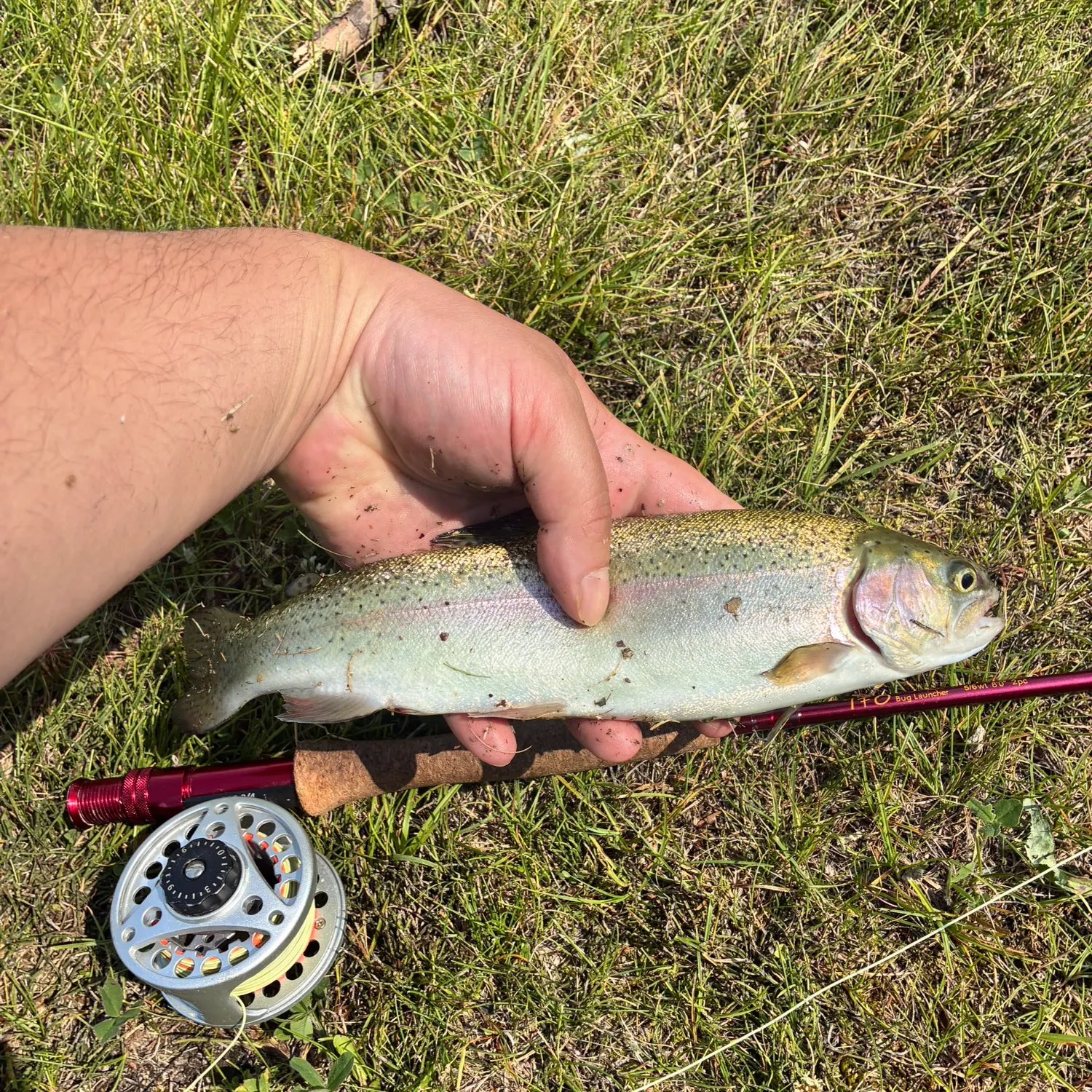 angler catch