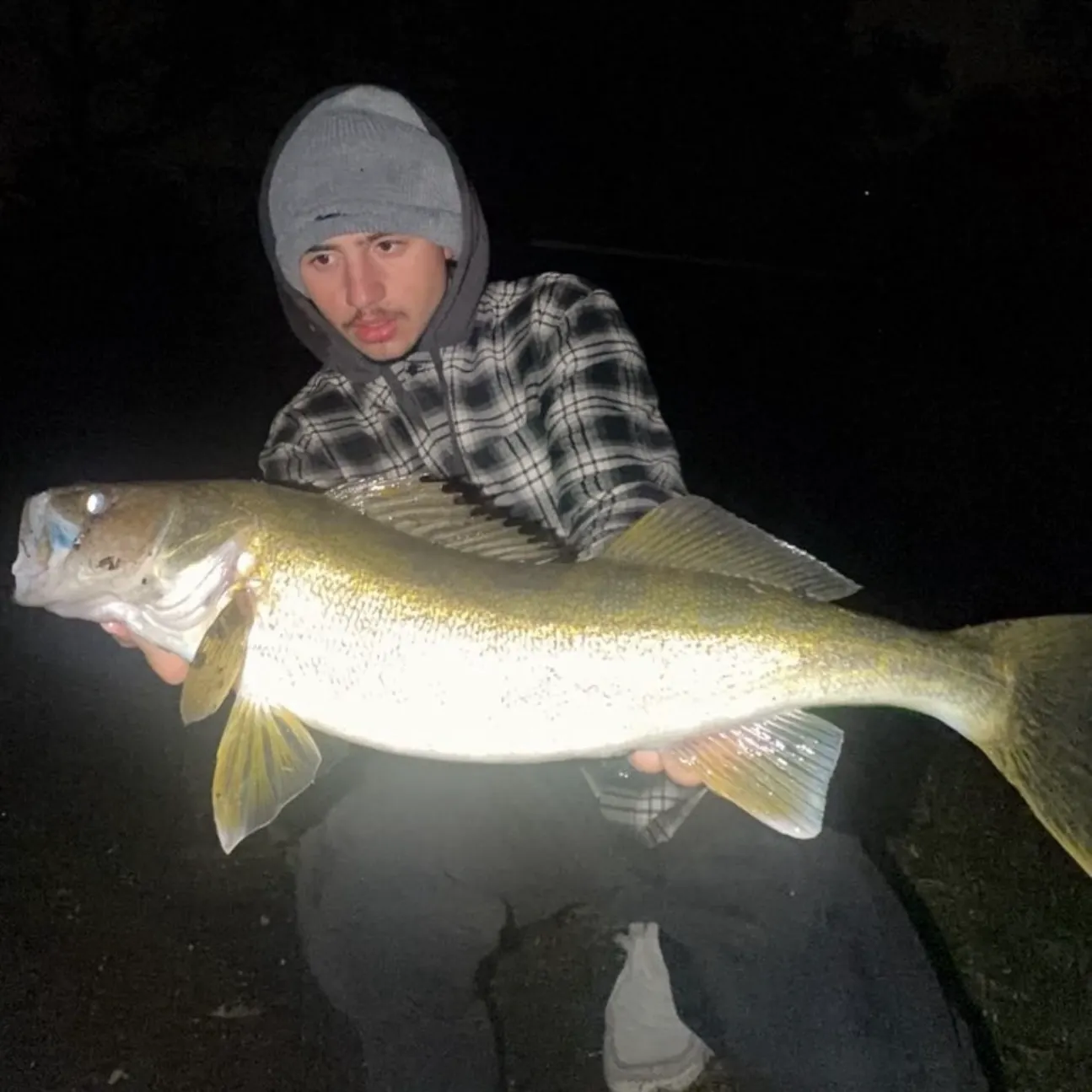 Walleye caught on Fishbrain