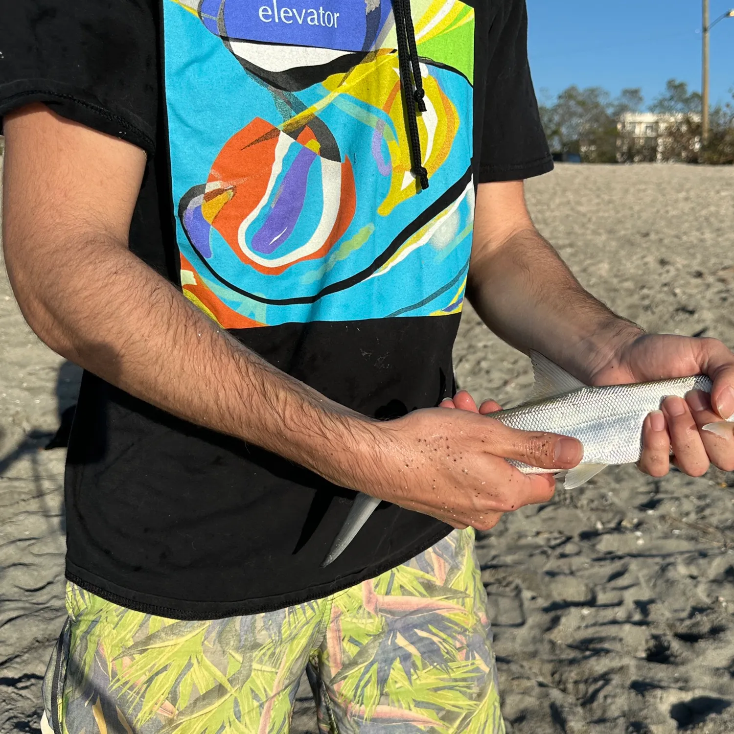 angler catch
