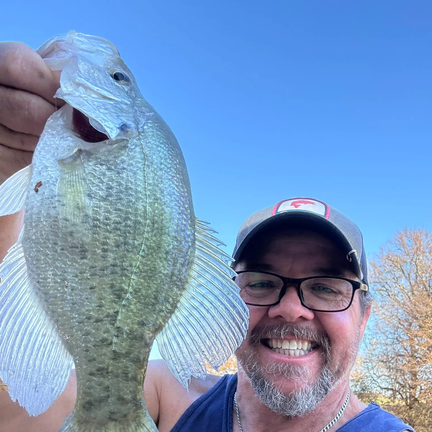 The most recent White crappie catches on Fishbrain