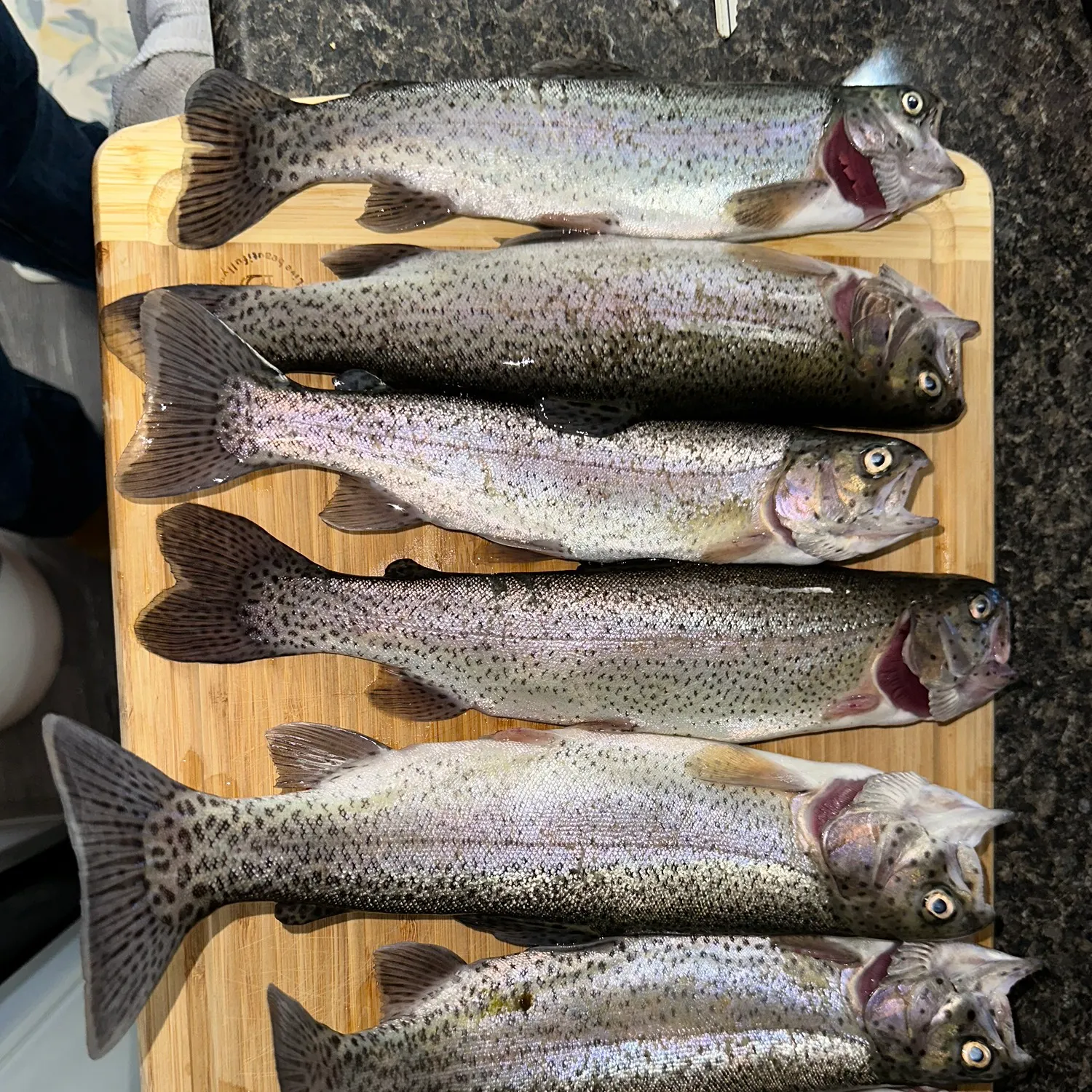 recently logged catches