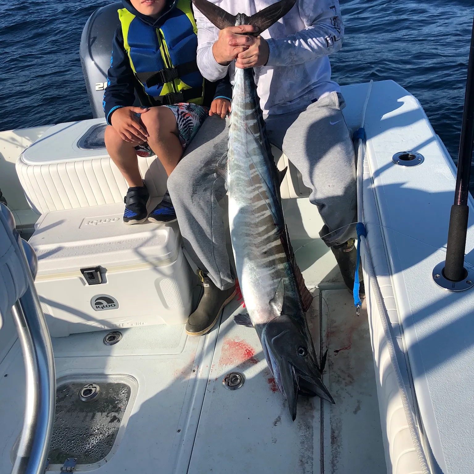 The most recent Wahoo catches on Fishbrain