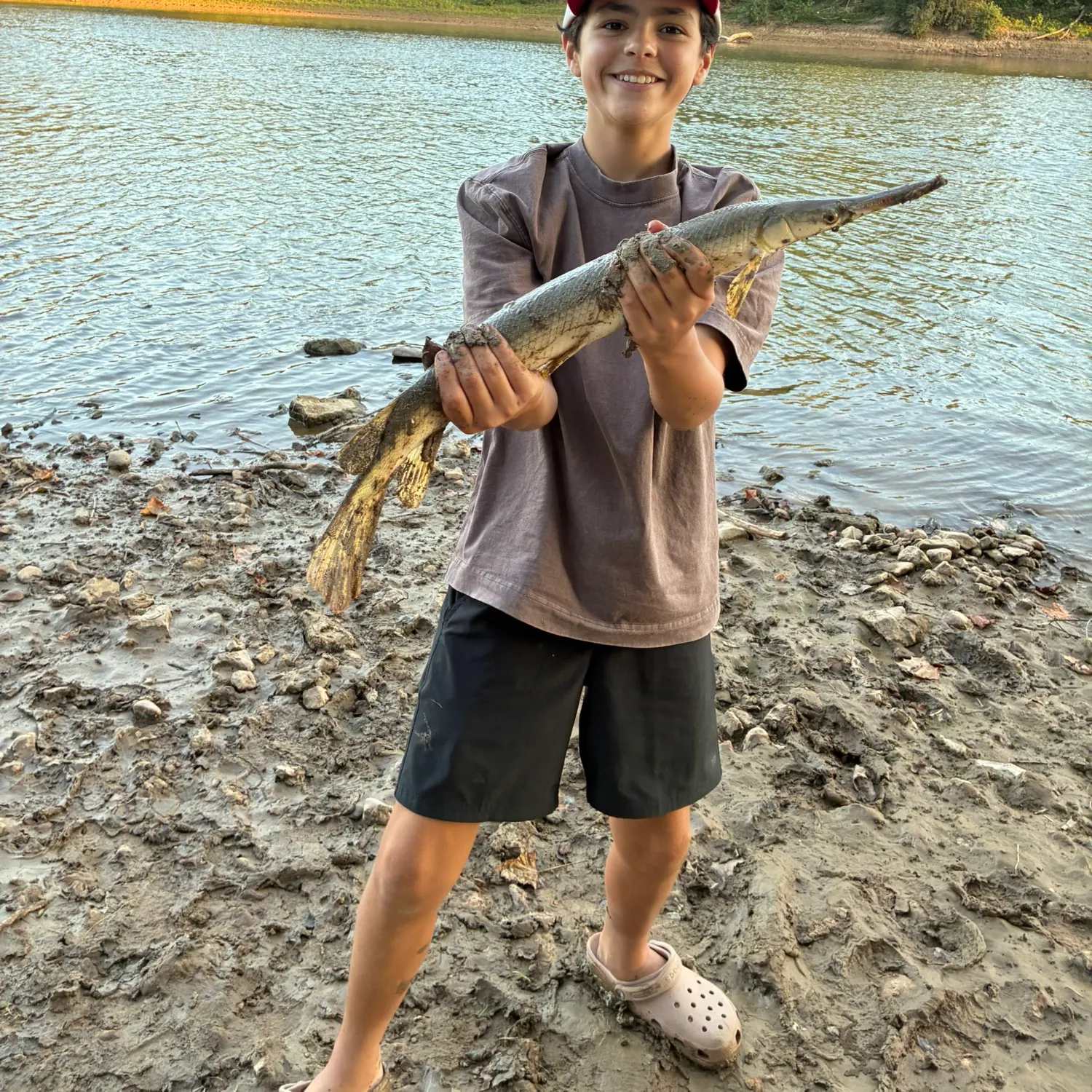 Shortnose gar caught on Fishbrain