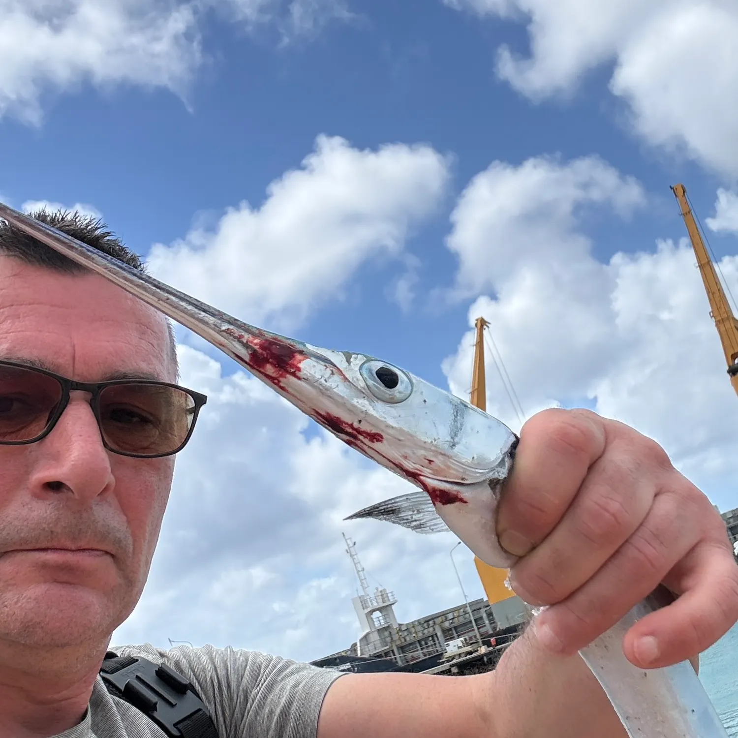 The most recent Flat needlefish catches on Fishbrain