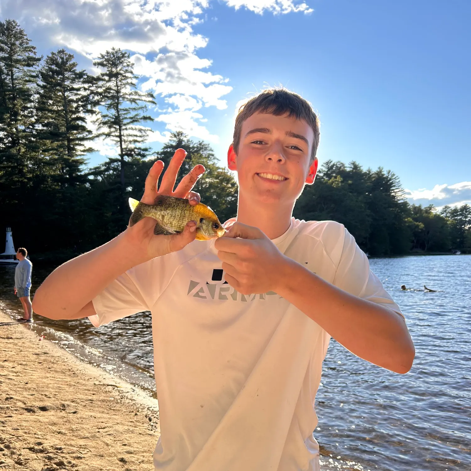 Bluegill caught on Fishbrain