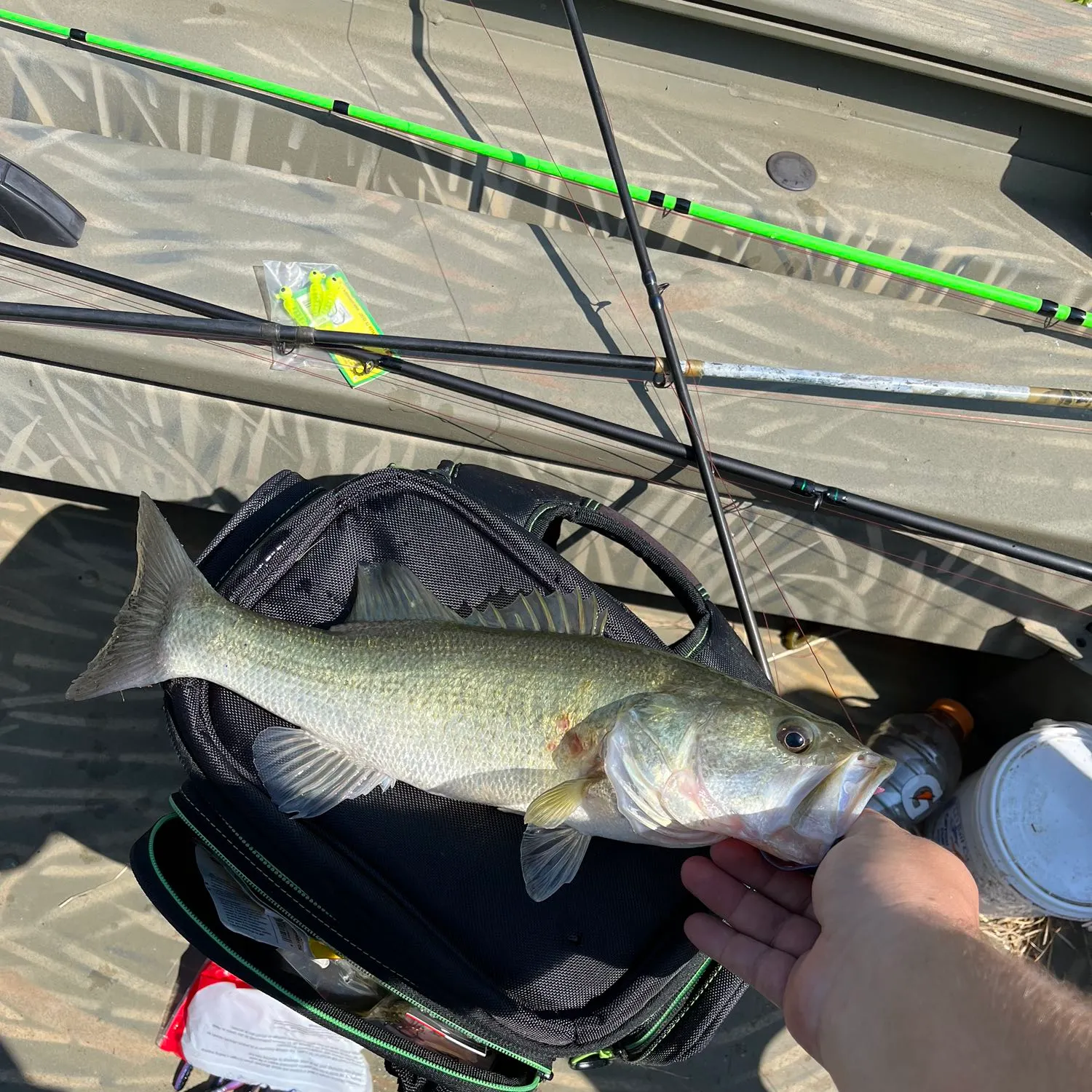 ᐅ Crooked Creek Lake fishing reports🎣• Rock Island, TX (United States ...