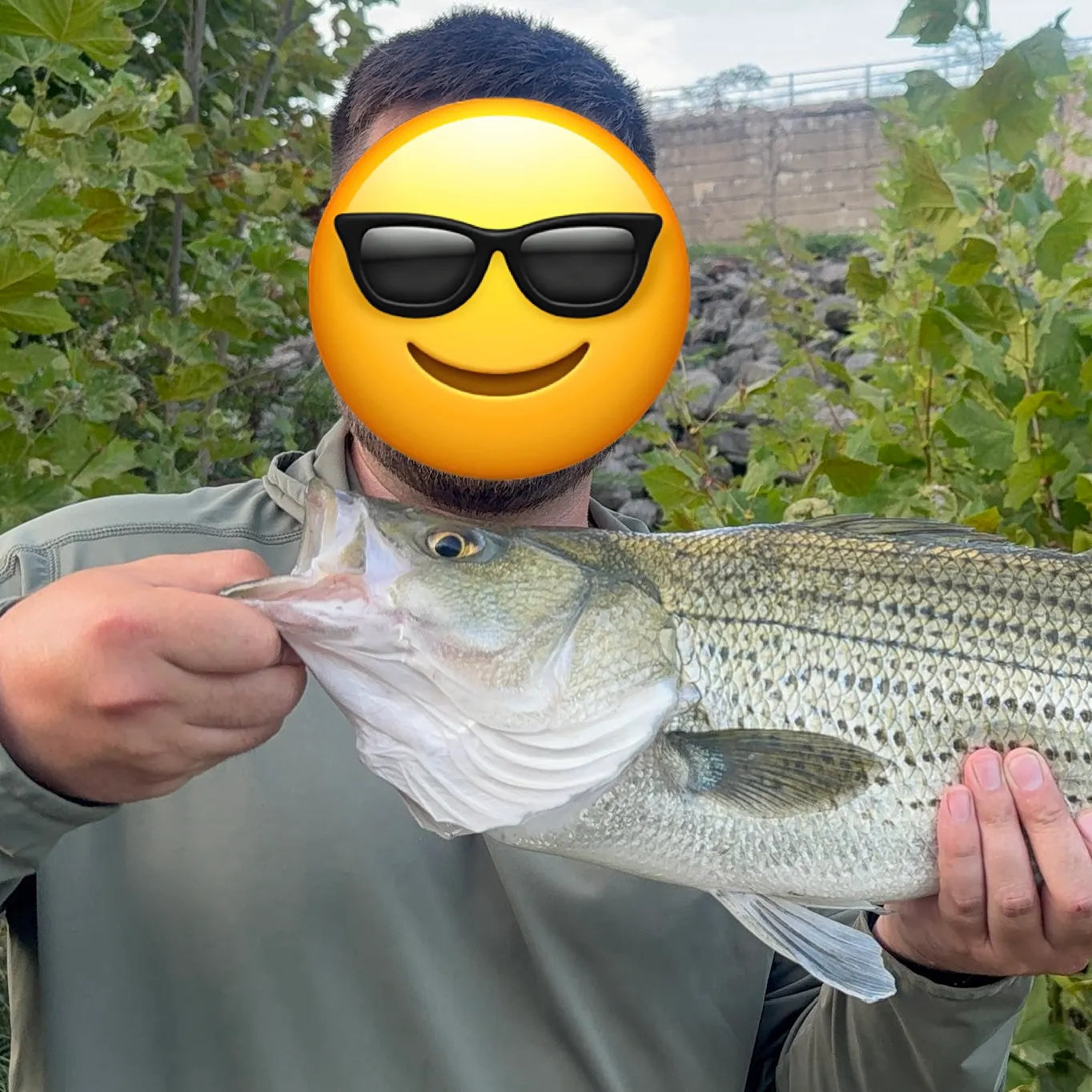 Wiper caught on Fishbrain